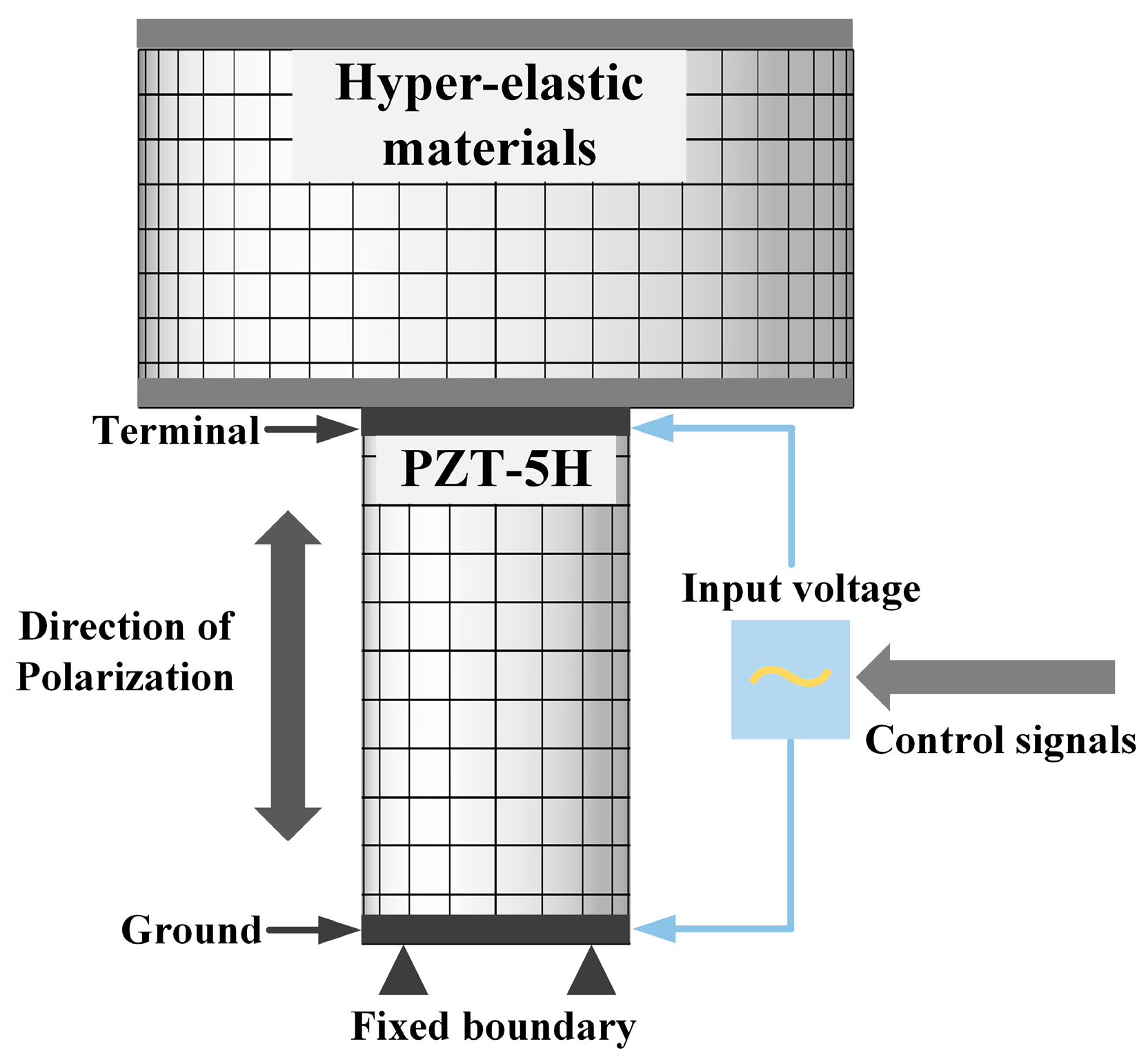 Biomimetics 09 00029 g010