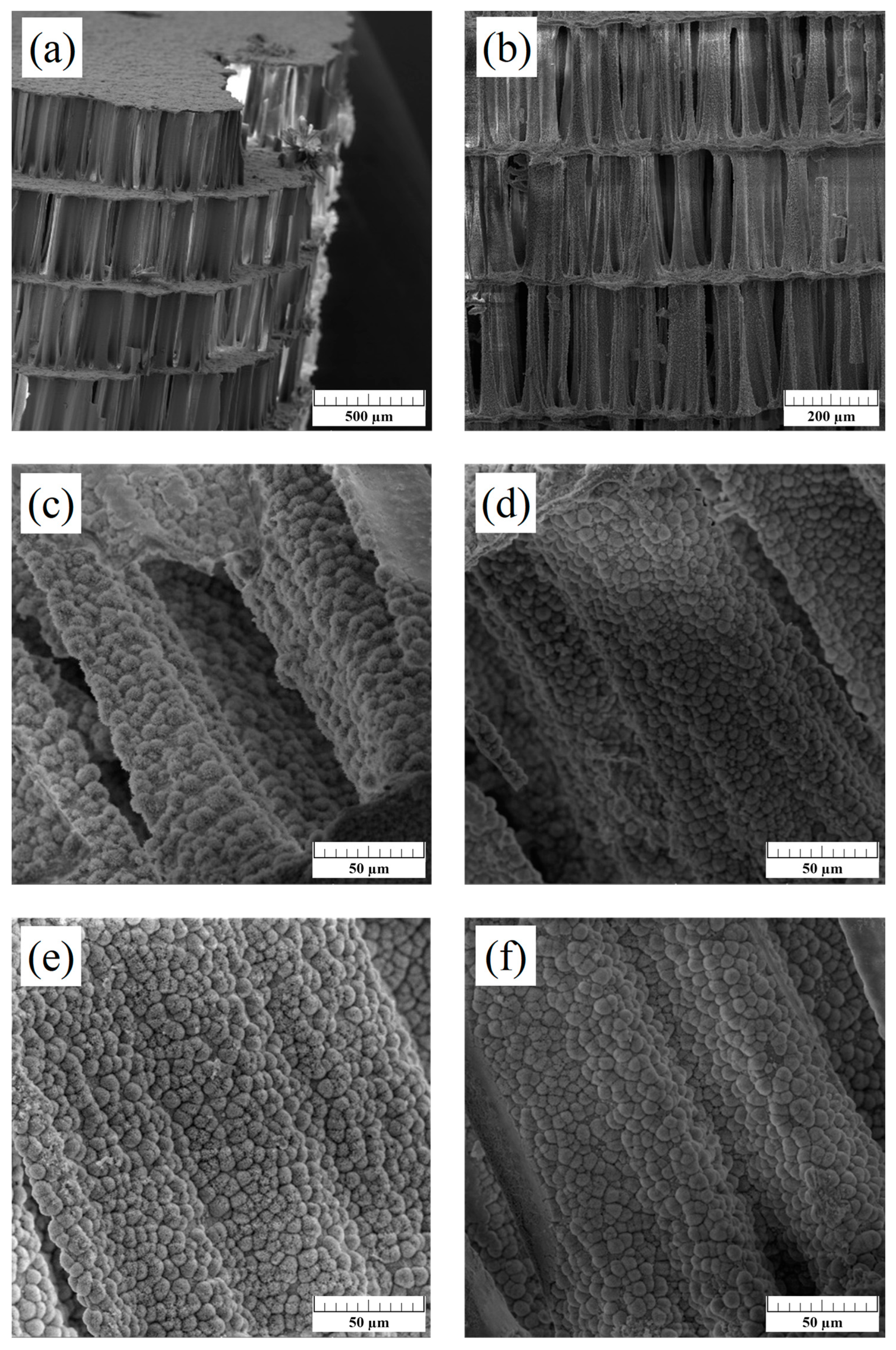Biomimetics 09 00030 g004