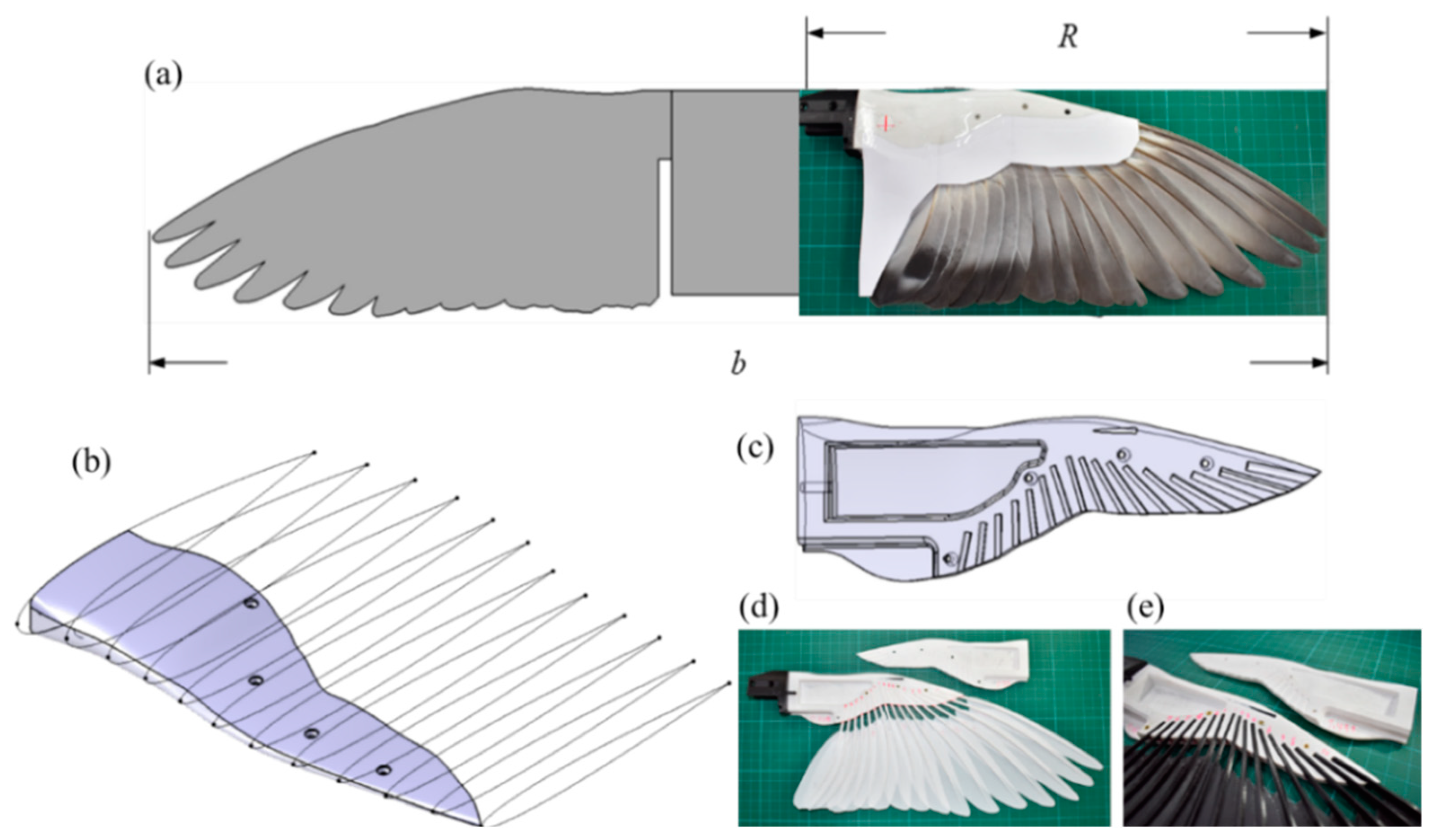 Biomimetics 09 00036 g002
