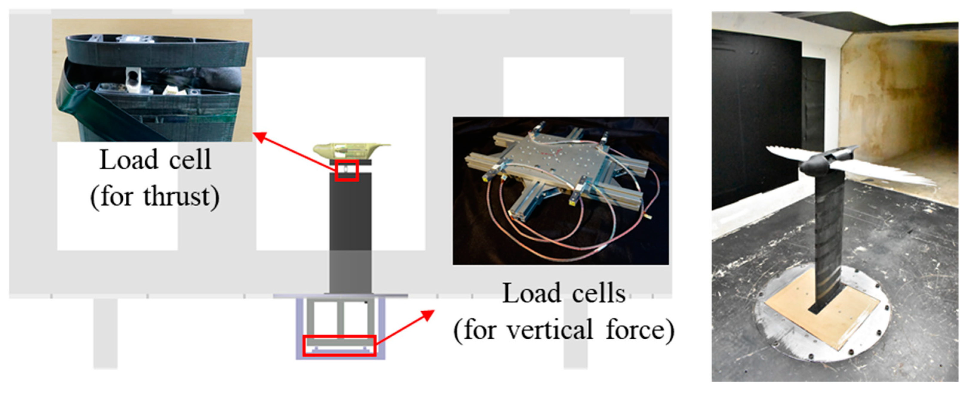 Biomimetics 09 00036 g003