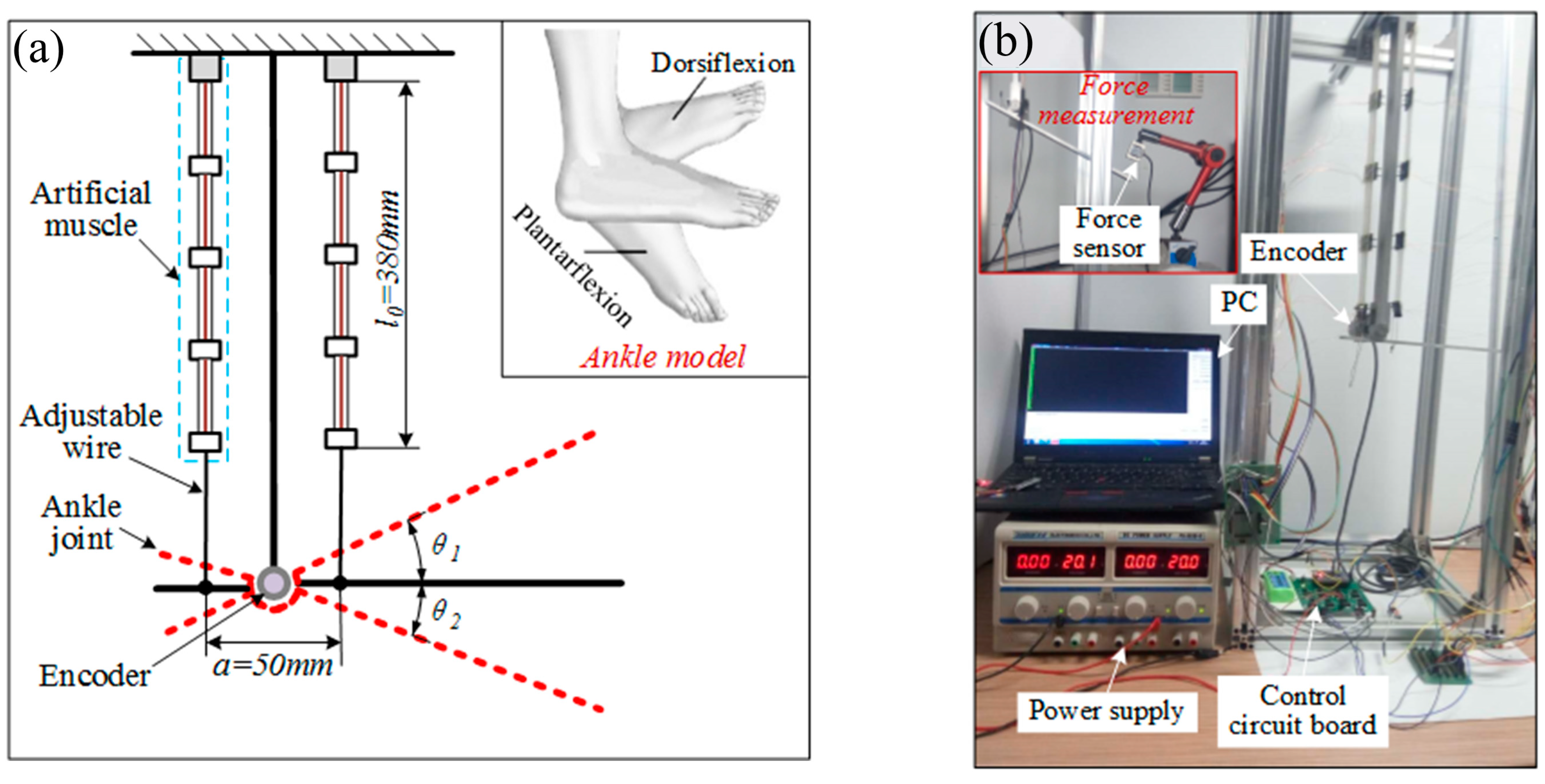 Biomimetics 09 00038 g006 Biomimetics 09 00038 g006