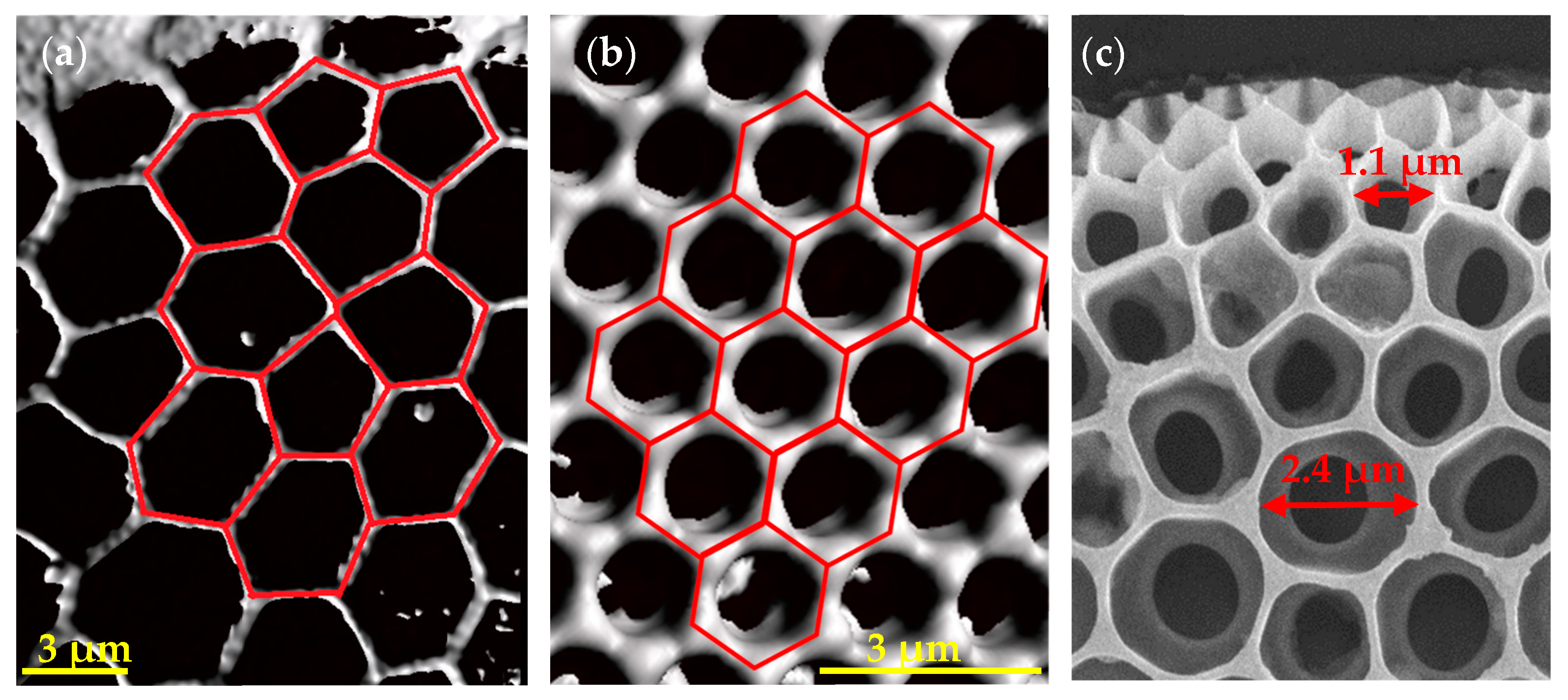 Biomimetics 09 00046 g009