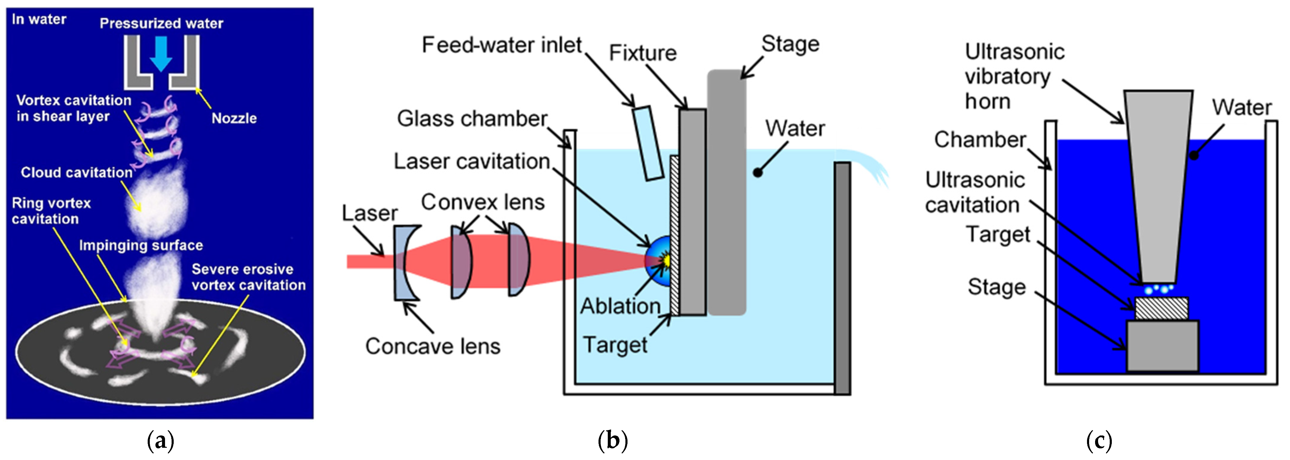 Biomimetics 09 00047 g001