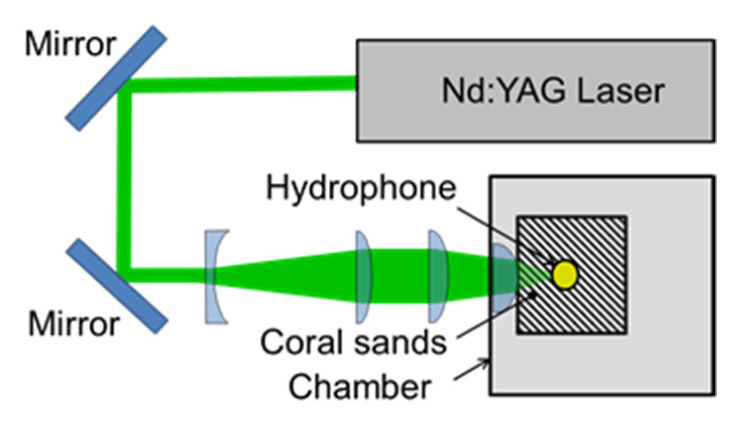 Biomimetics 09 00047 g005