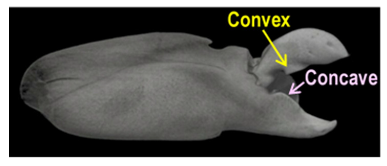 Biomimetics 09 00047 g008