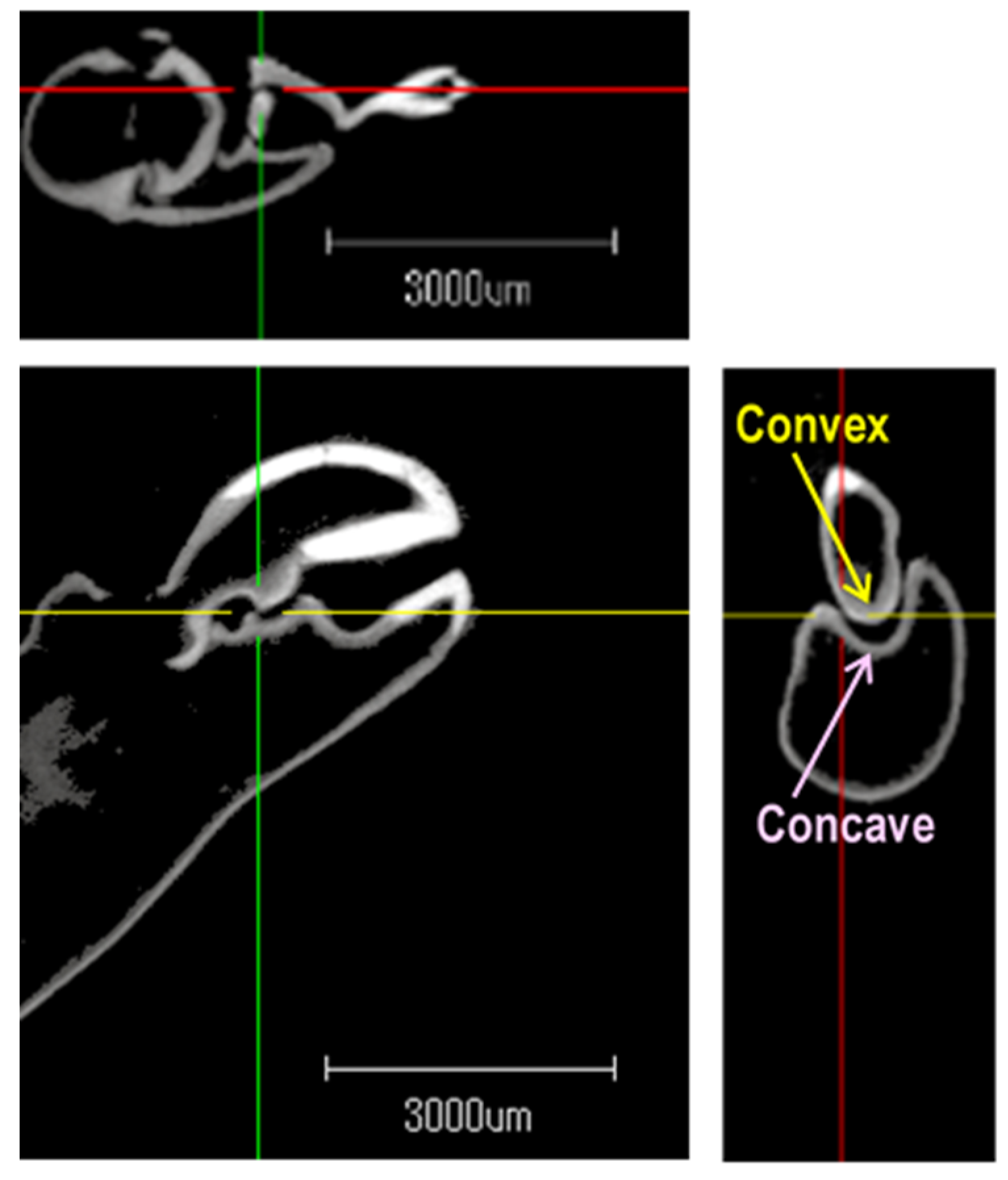 Biomimetics 09 00047 g009