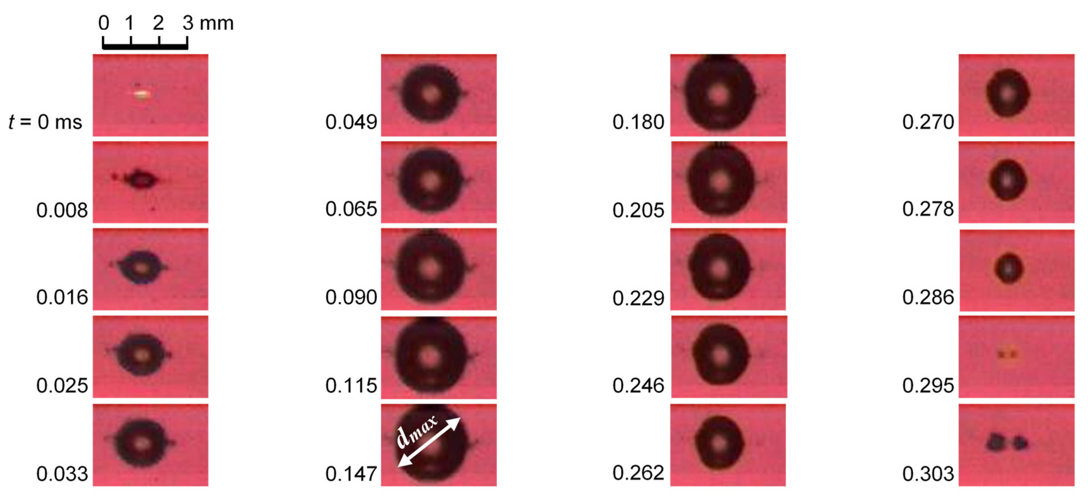 Biomimetics 09 00047 g011