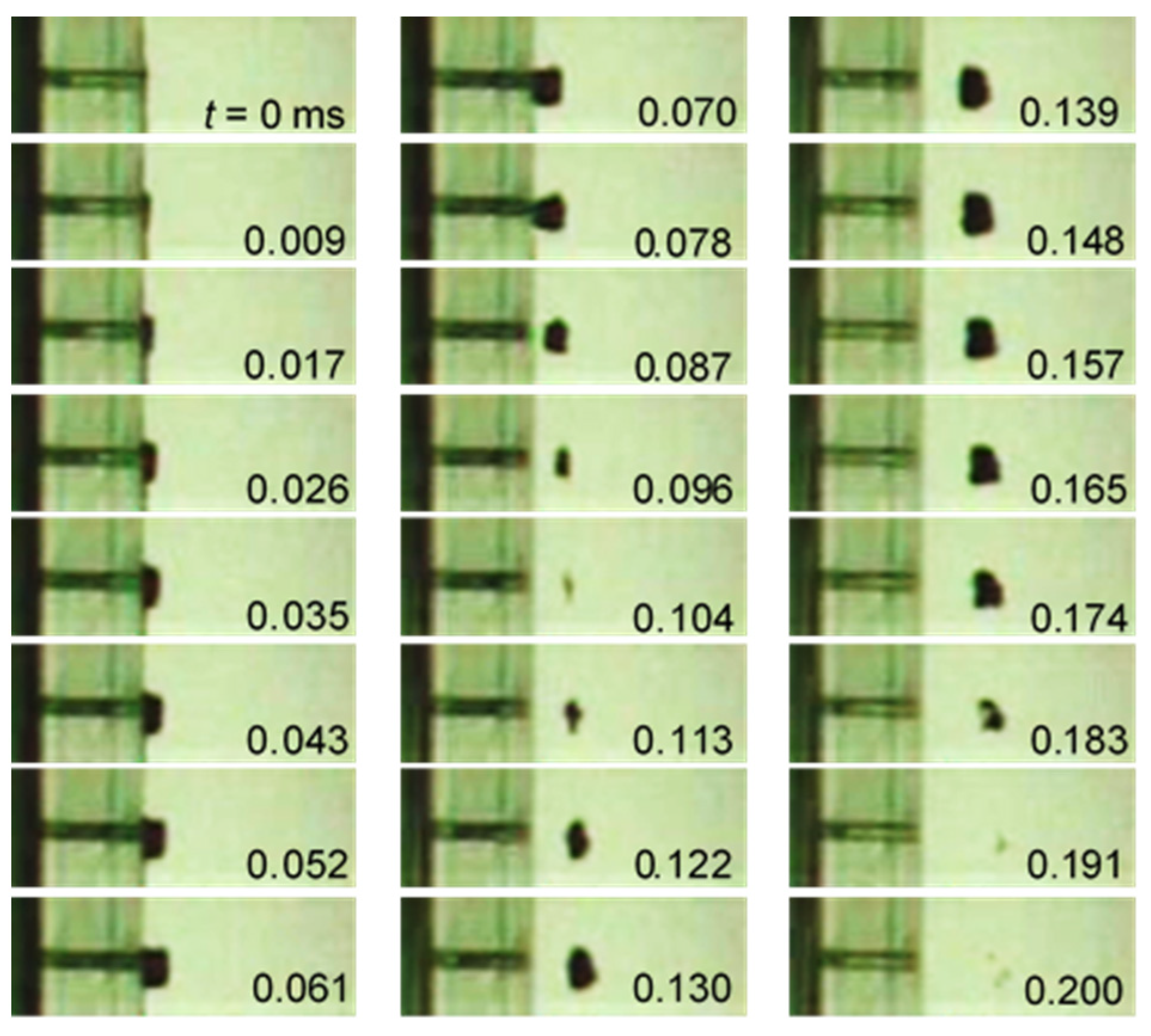 Biomimetics 09 00047 g014