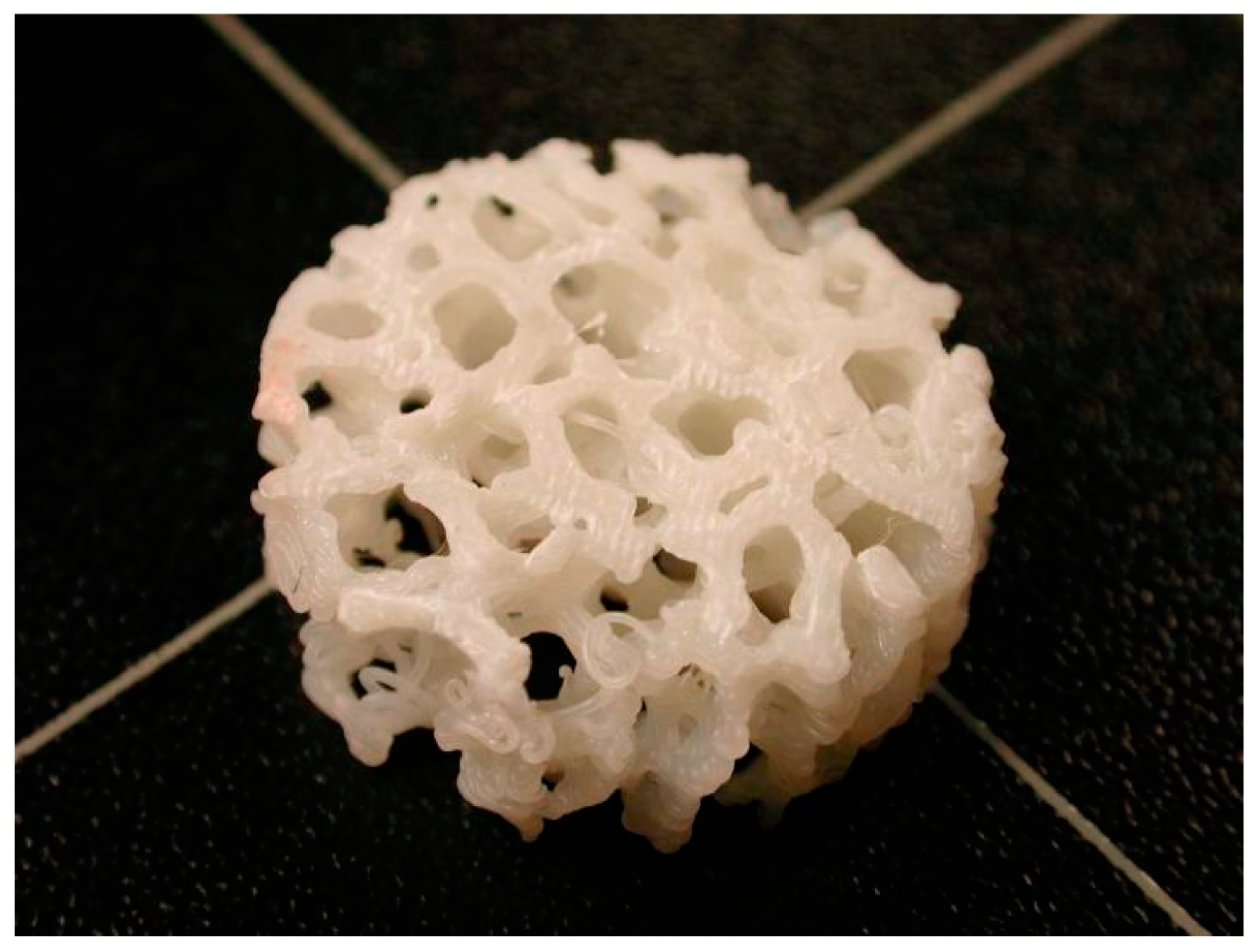 Biomimetics 09 00048 g006