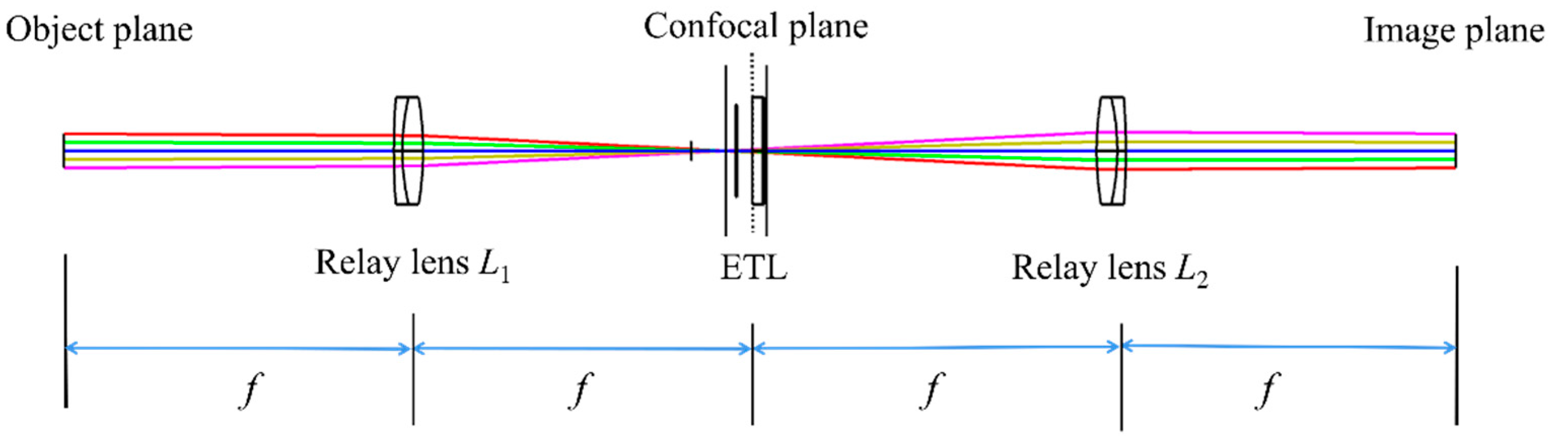 Biomimetics 09 00049 g001