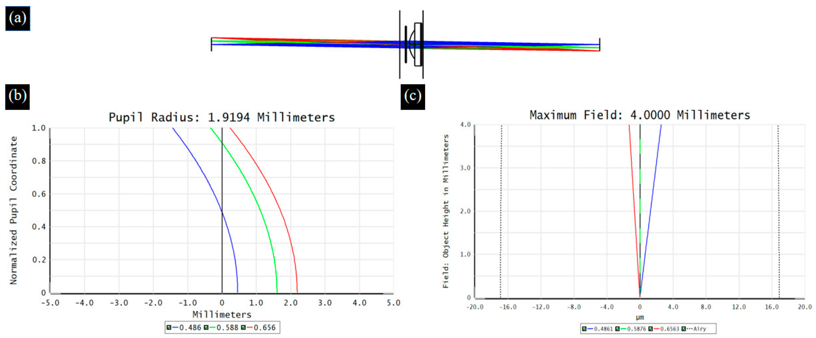 Biomimetics 09 00049 g004