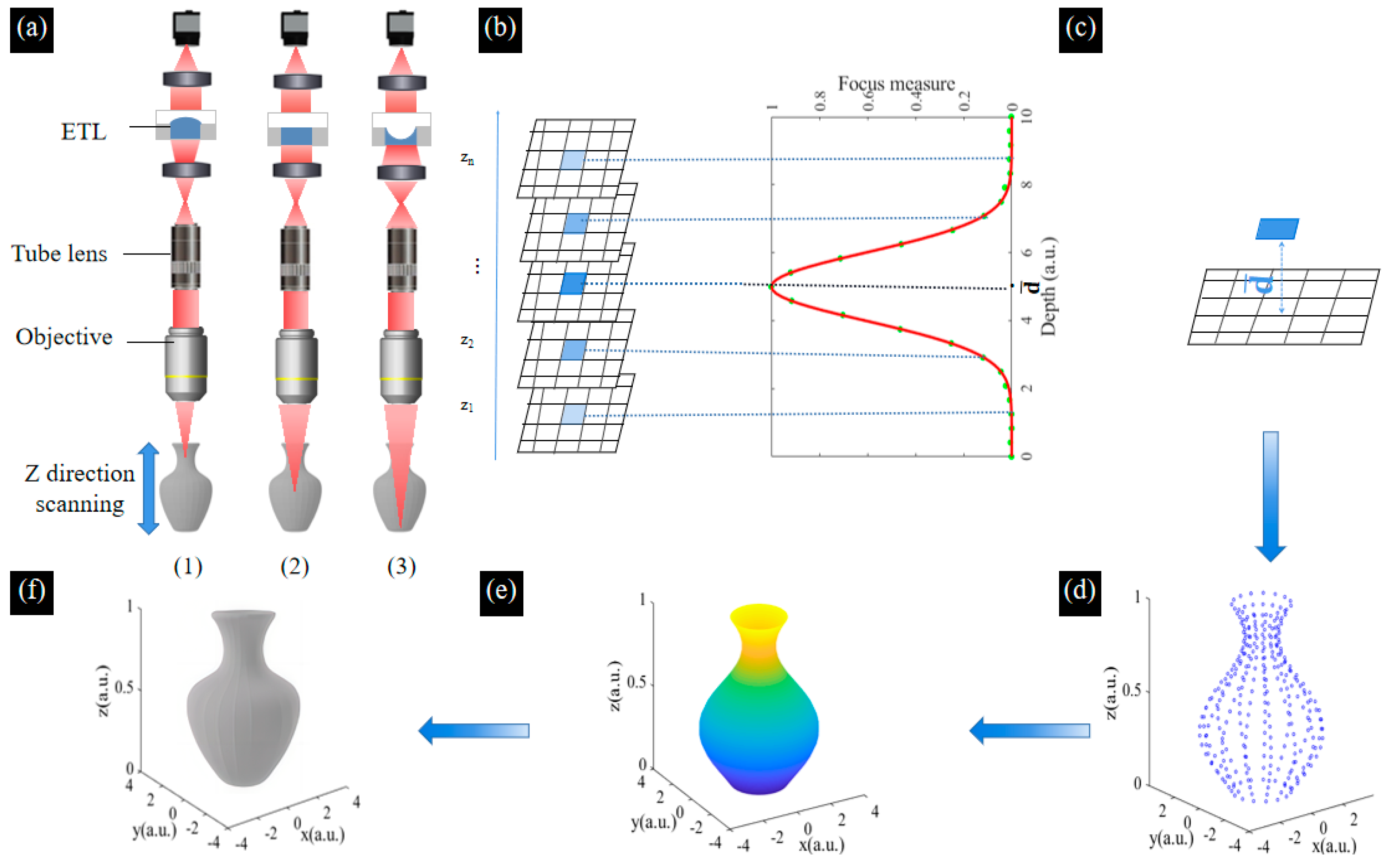 Biomimetics 09 00049 g007