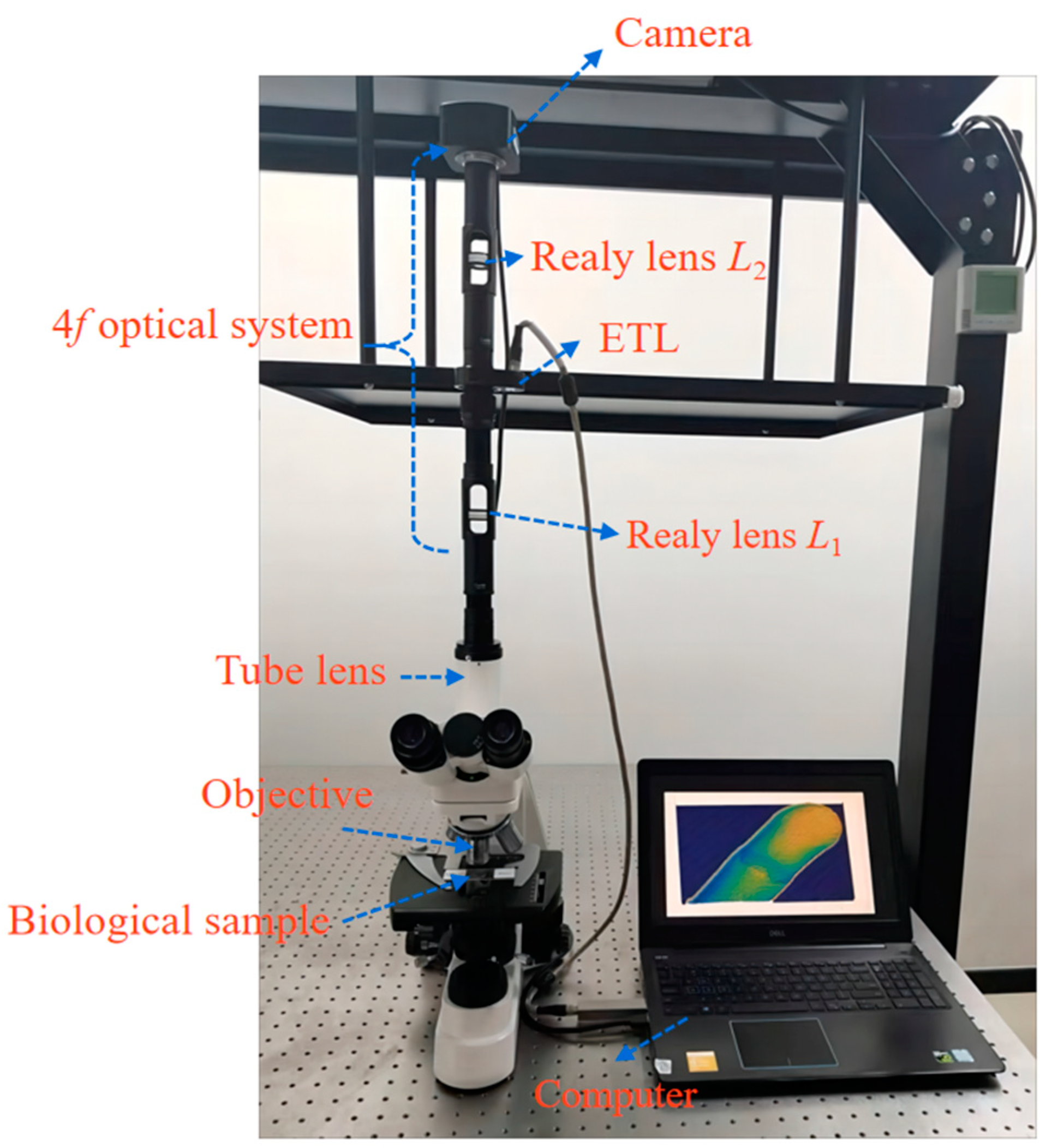 Biomimetics 09 00049 g008