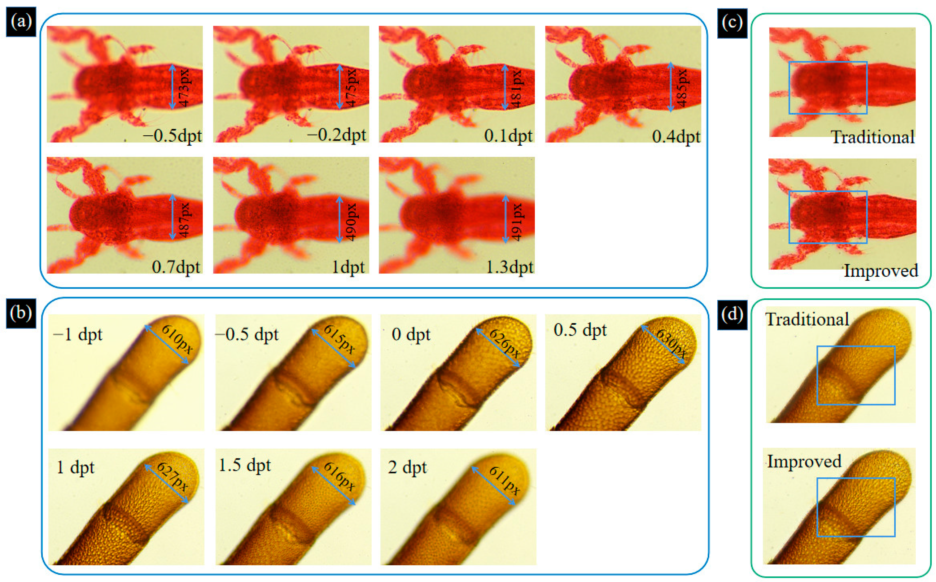 Biomimetics 09 00049 g009
