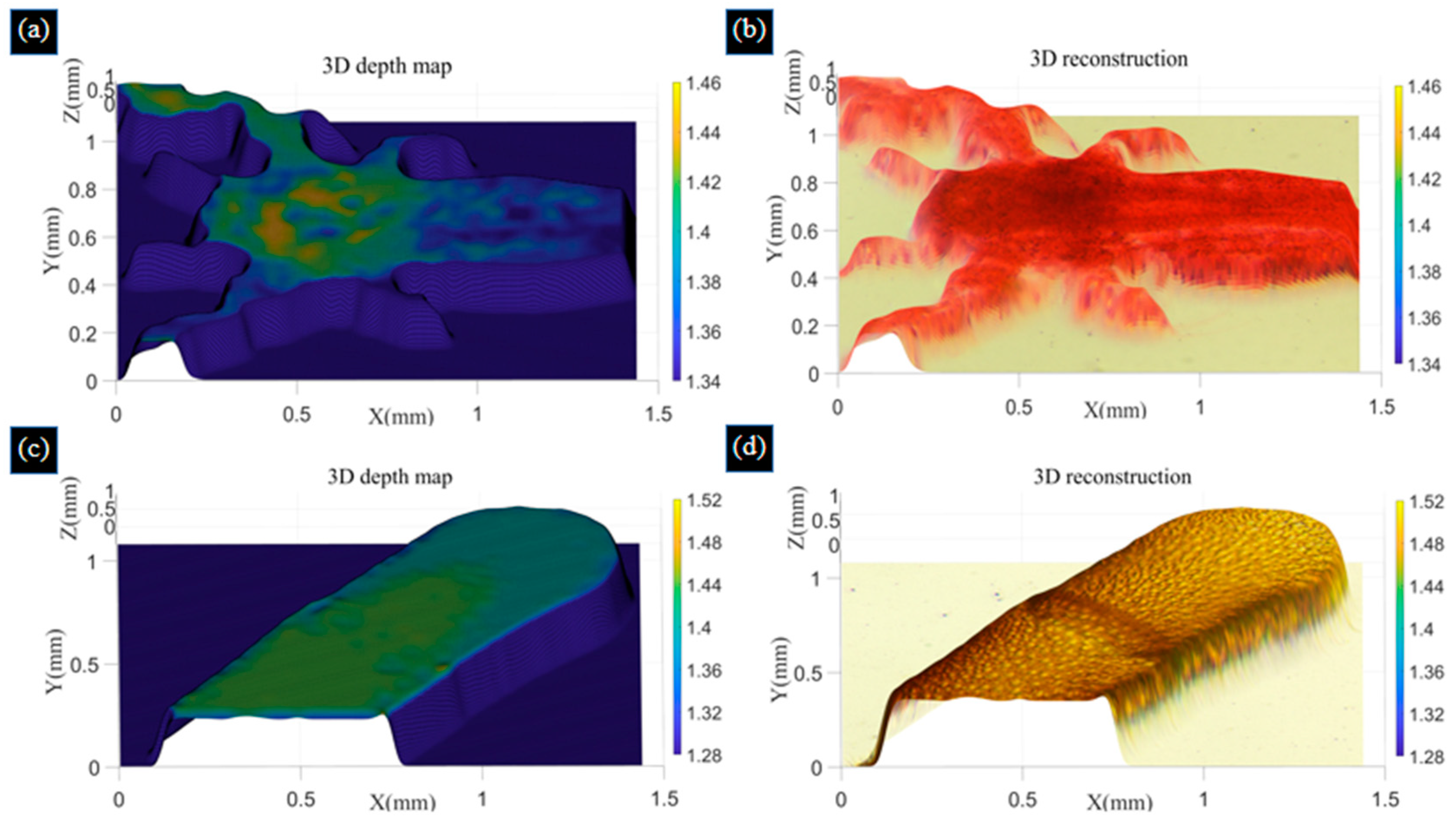 Biomimetics 09 00049 g010
