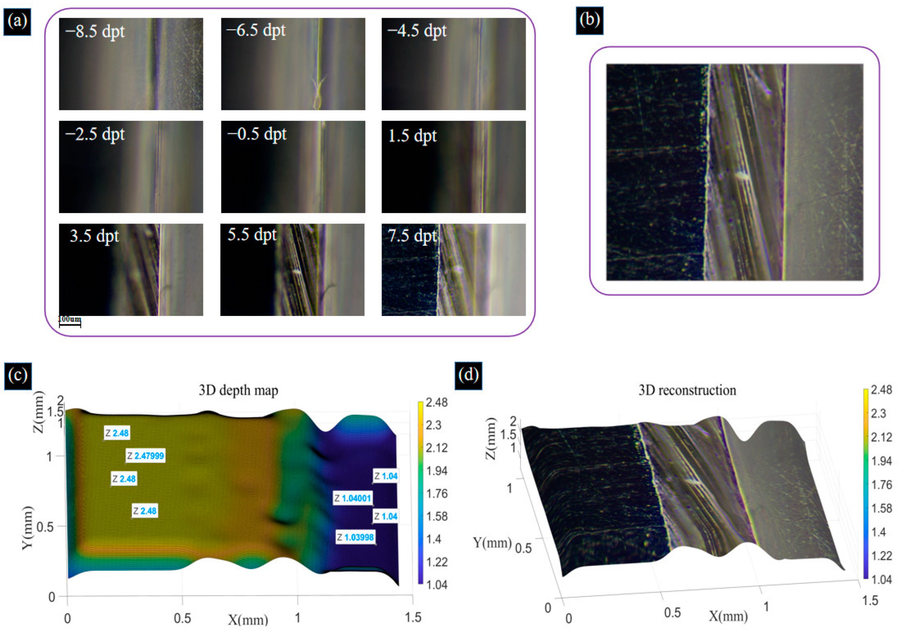 Biomimetics 09 00049 g012