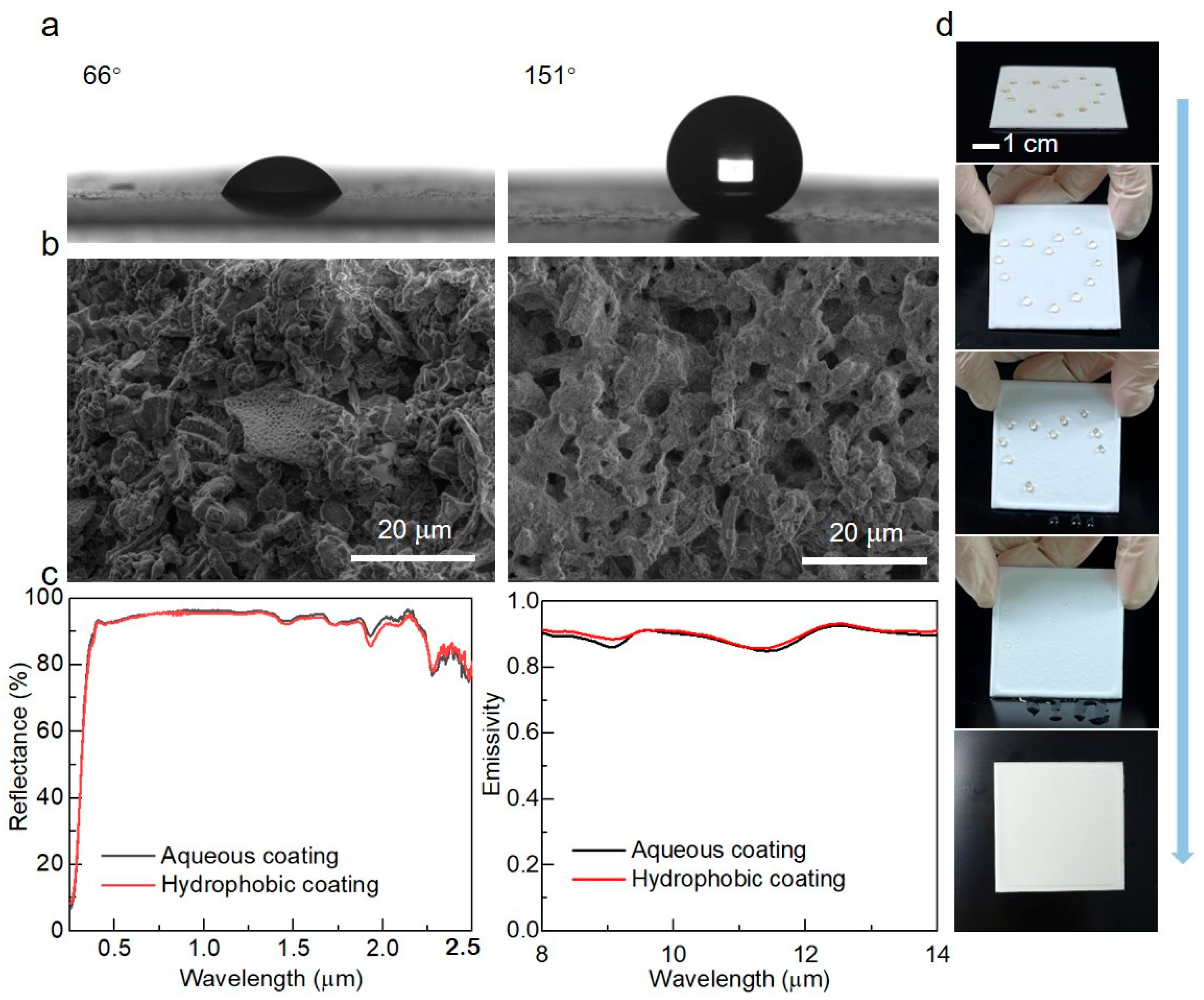 Biomimetics 09 00050 g006