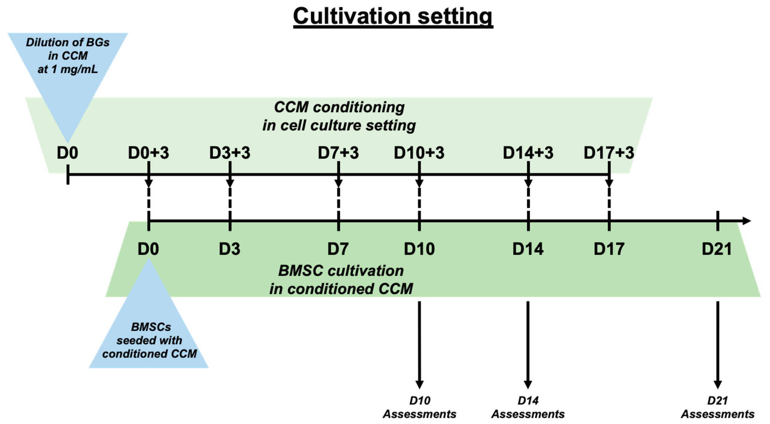 Biomimetics 09 00053 g001