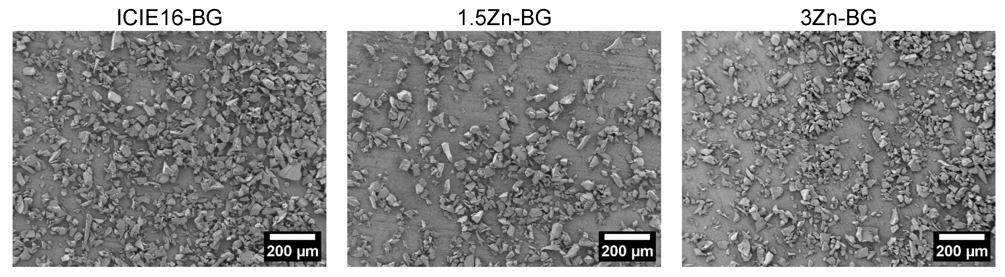 Biomimetics 09 00053 g002