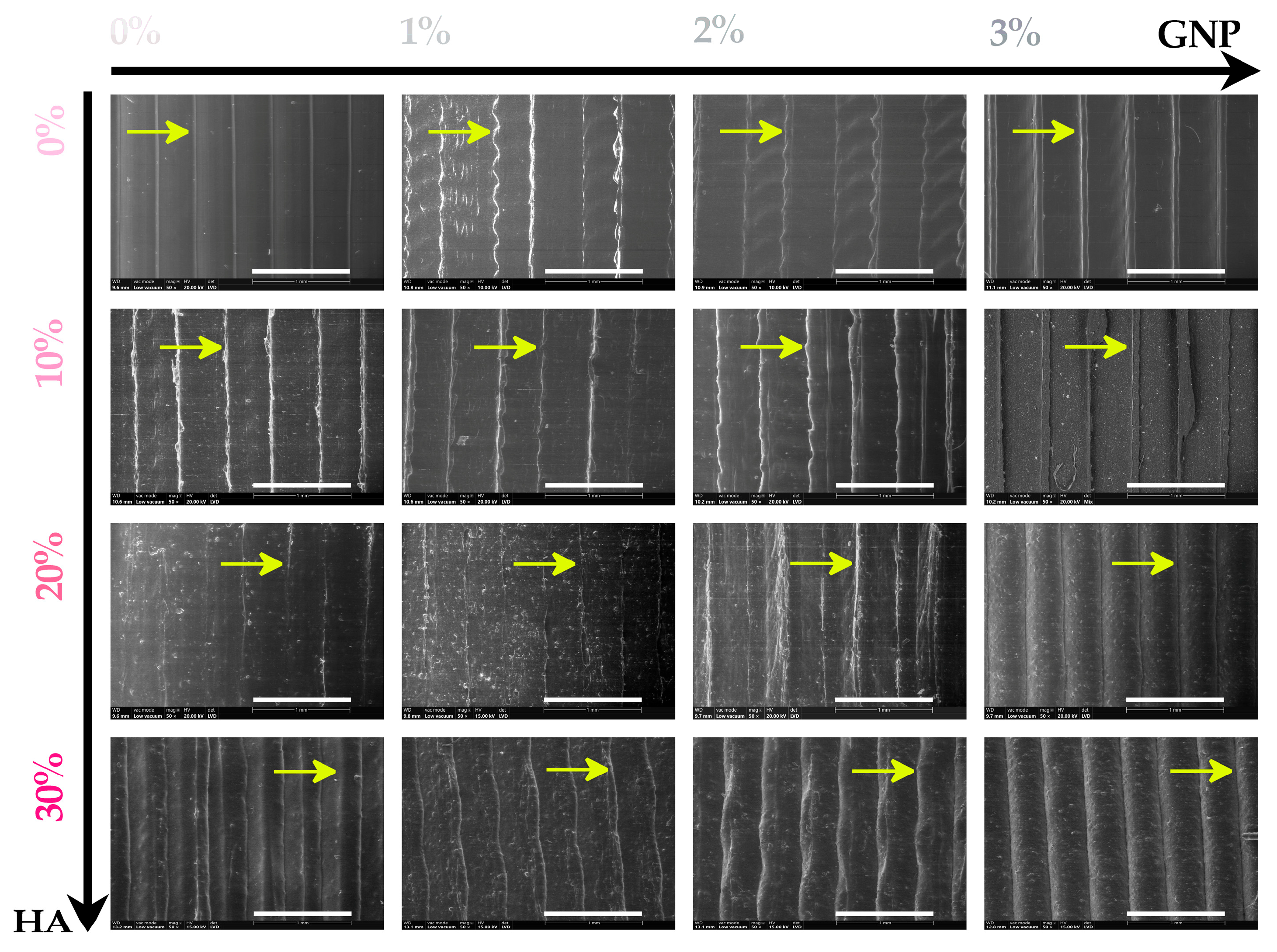 Biomimetics 09 00055 g001