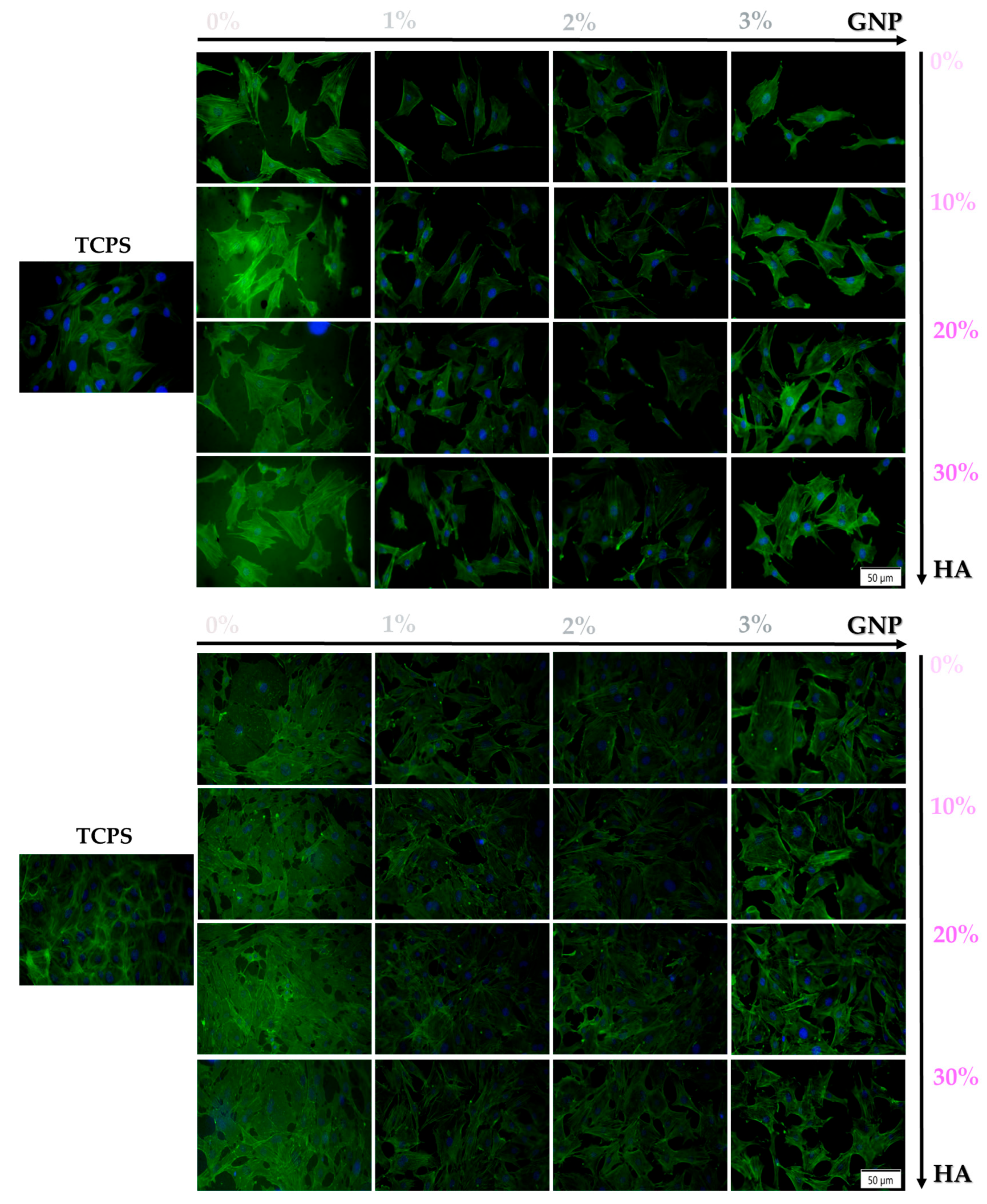 Biomimetics 09 00055 g004