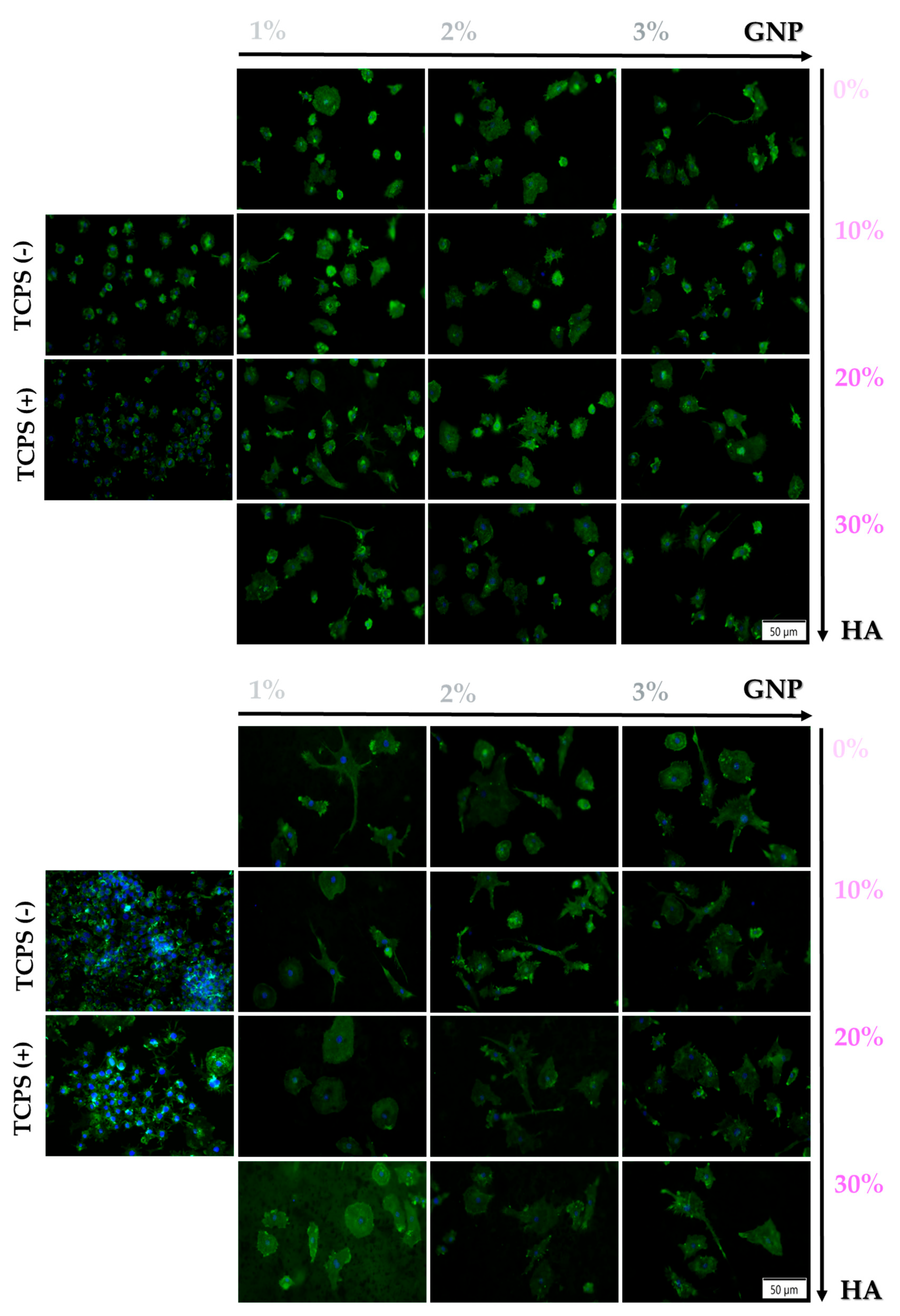 Biomimetics 09 00055 g008