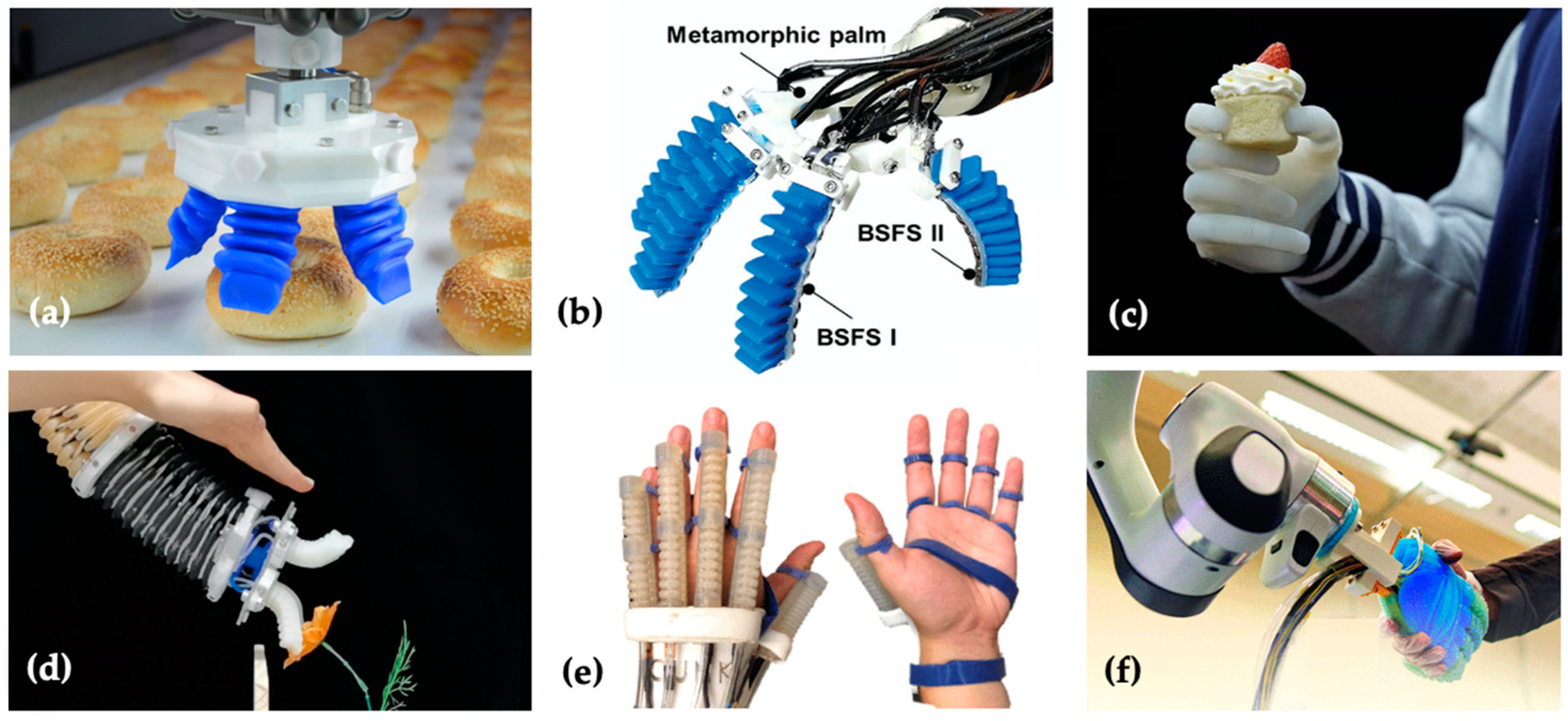 Biomimetics 09 00058 g001