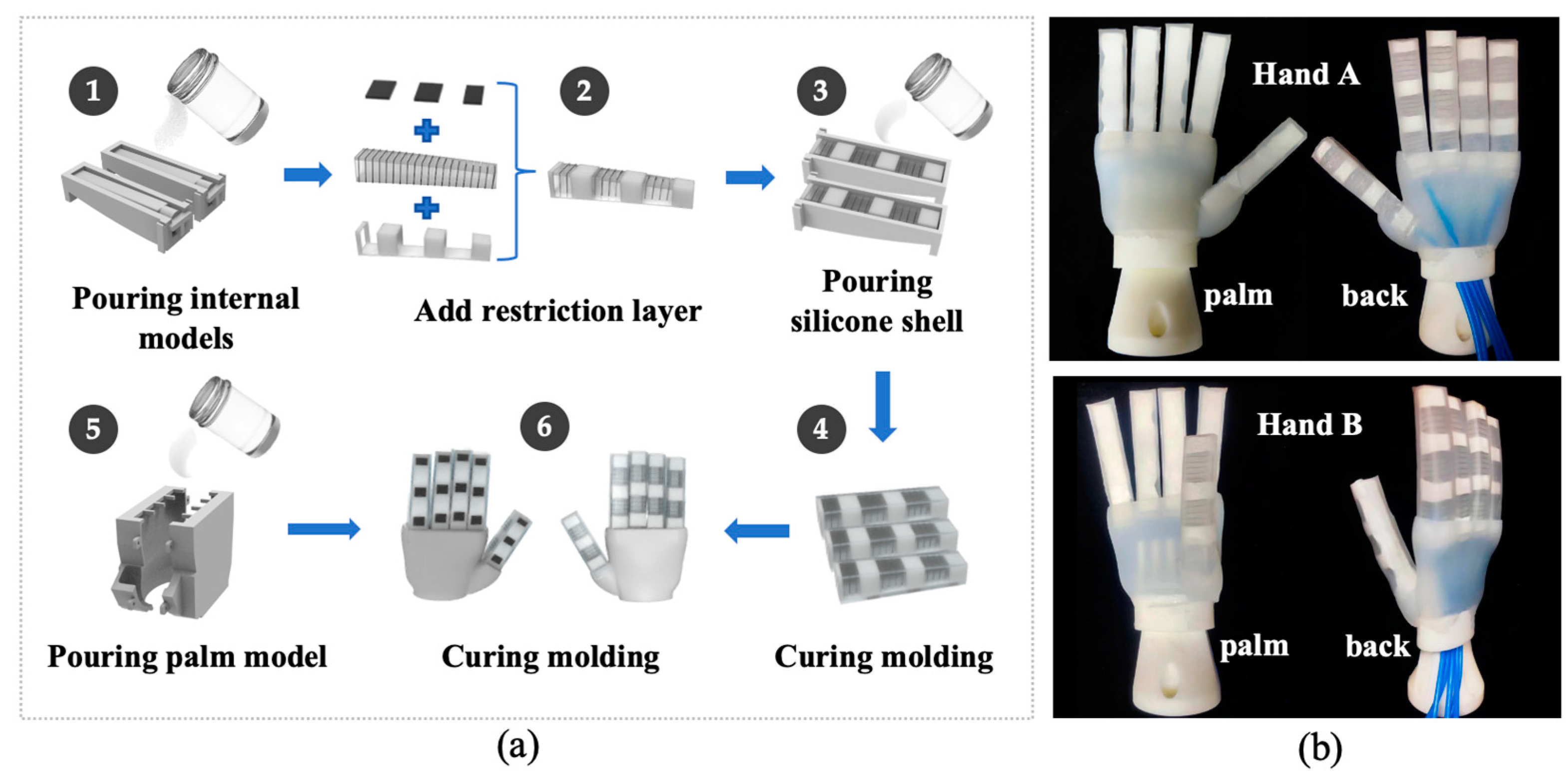 Biomimetics 09 00058 g003