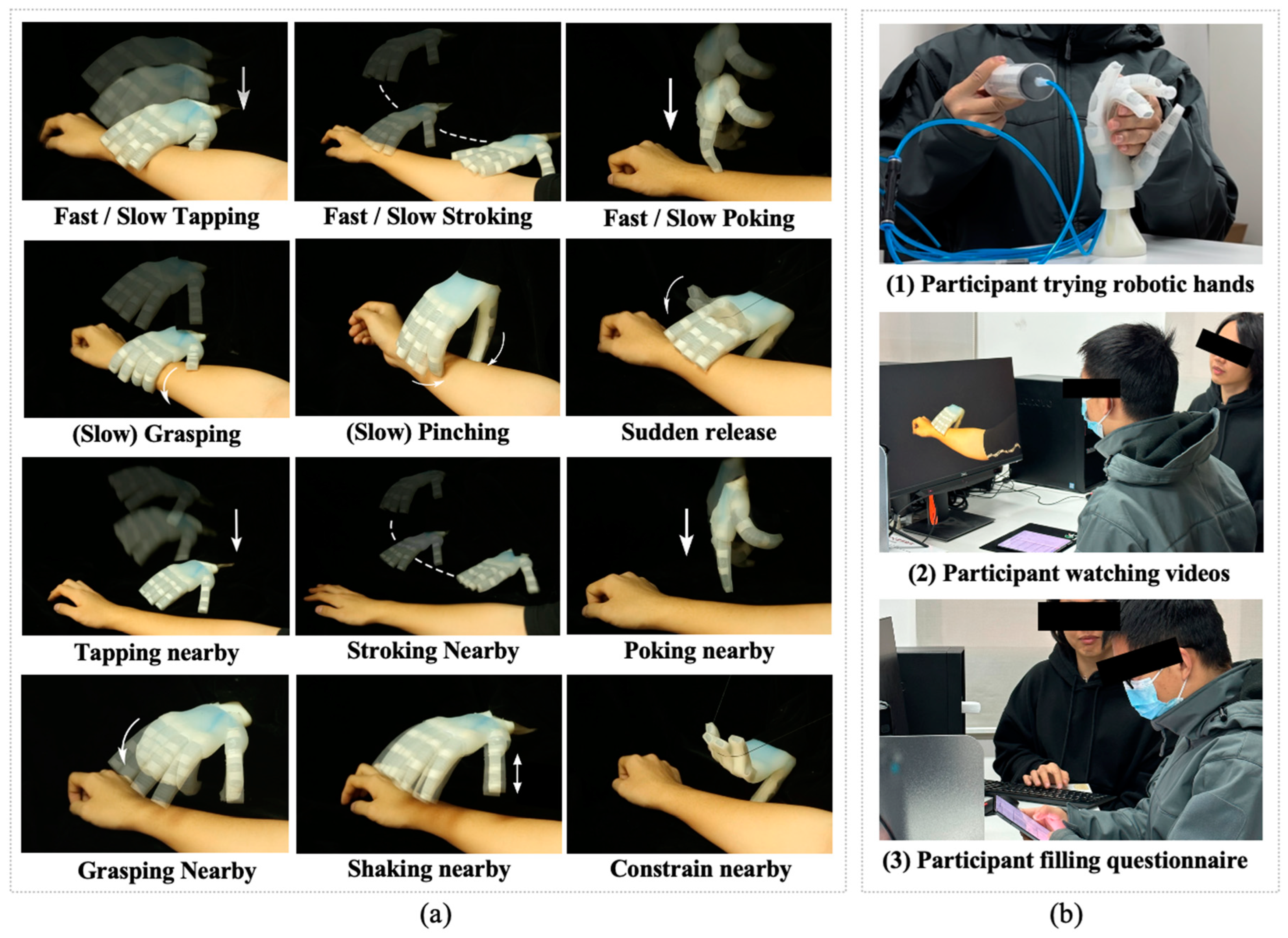 Biomimetics 09 00058 g004