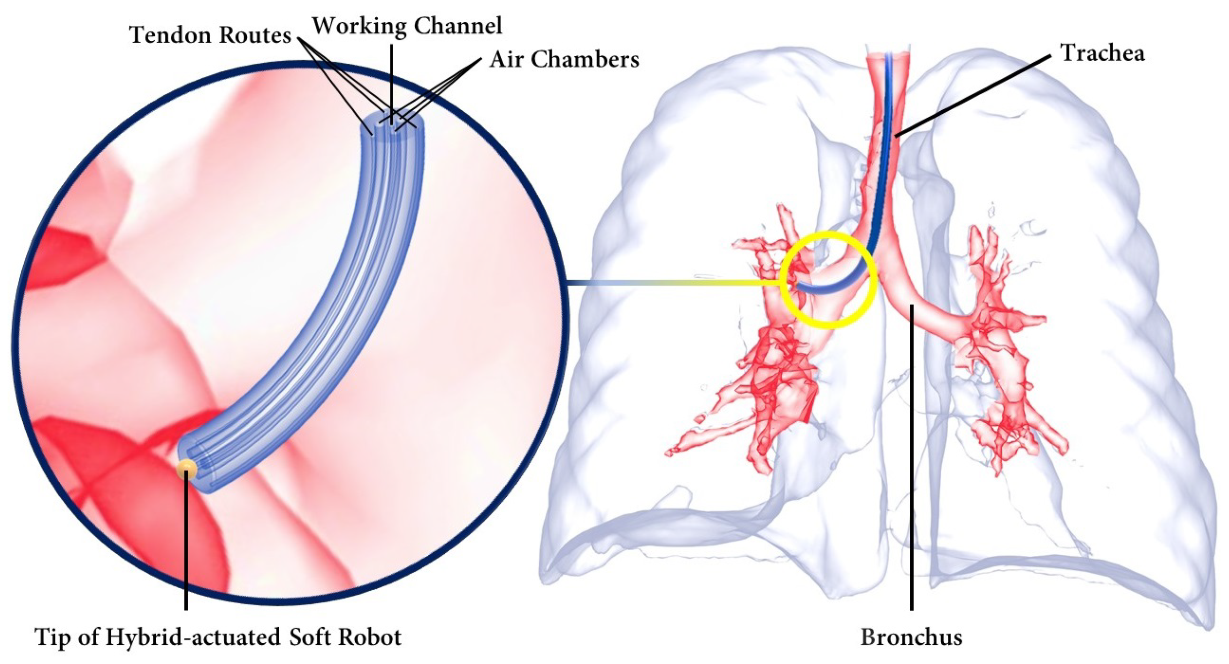 Biomimetics 09 00059 g001