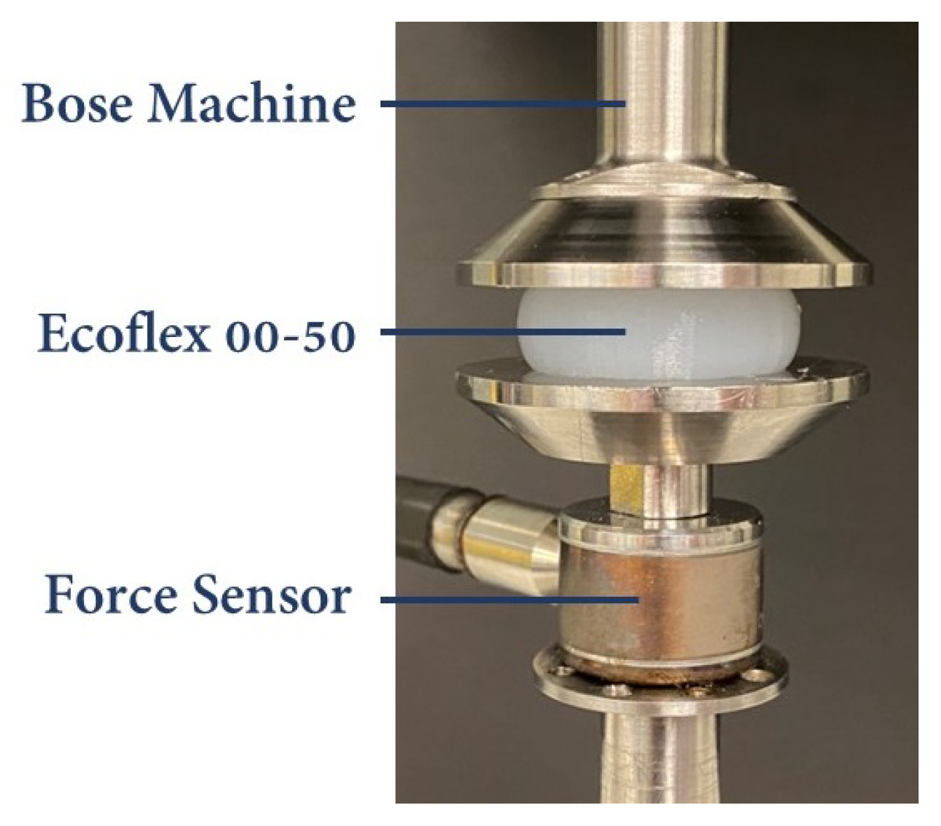 Biomimetics 09 00059 g004