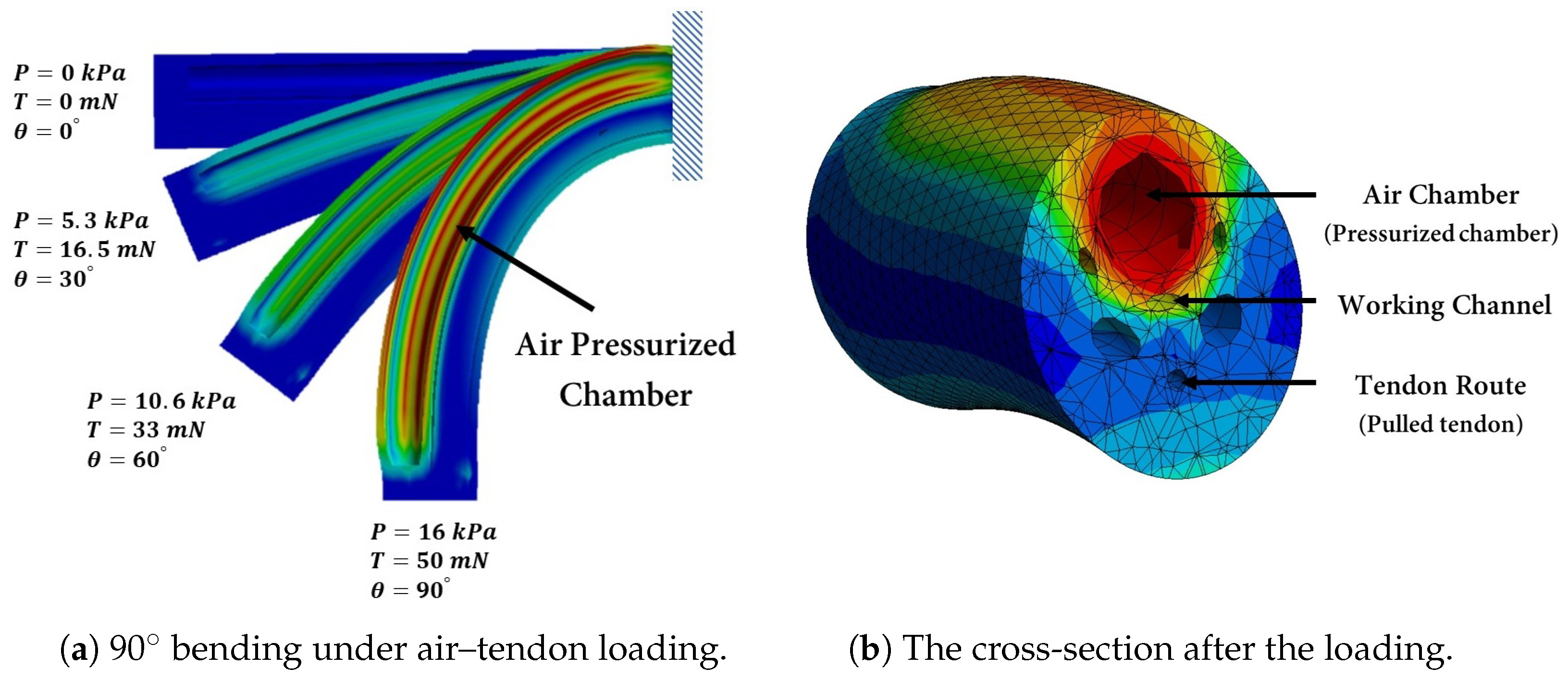 Biomimetics 09 00059 g006