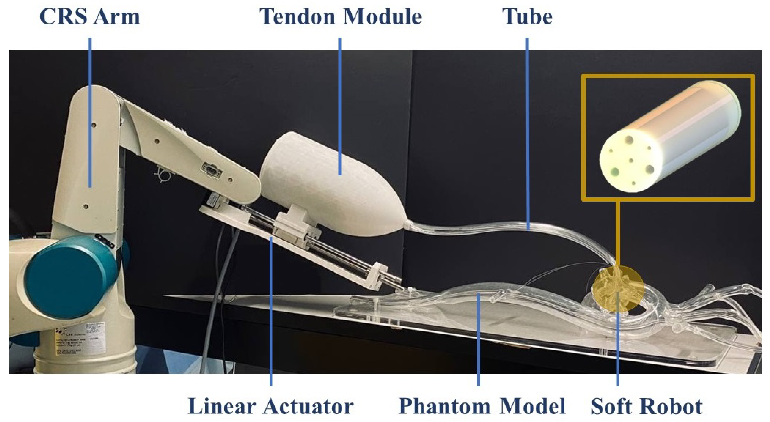 Biomimetics 09 00059 g011