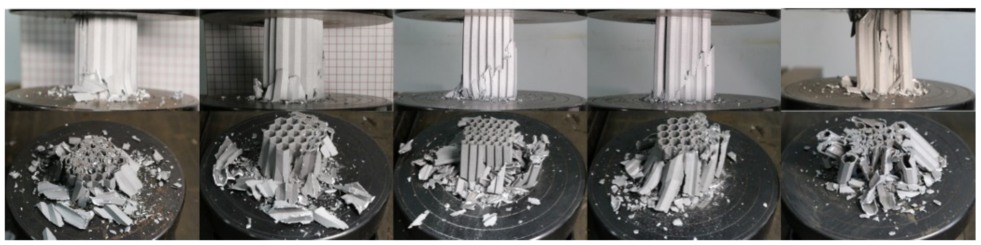 Biomimetics 09 00060 g010