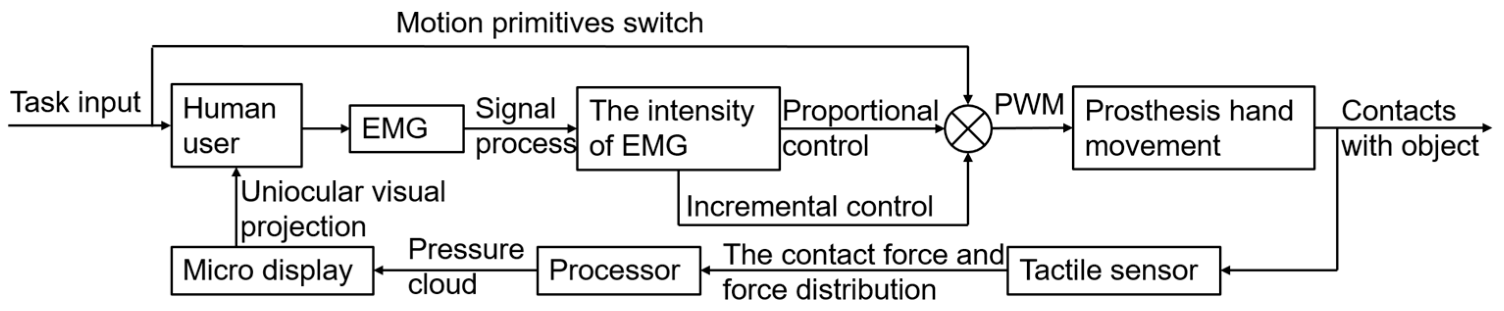 Biomimetics 09 00062 g005