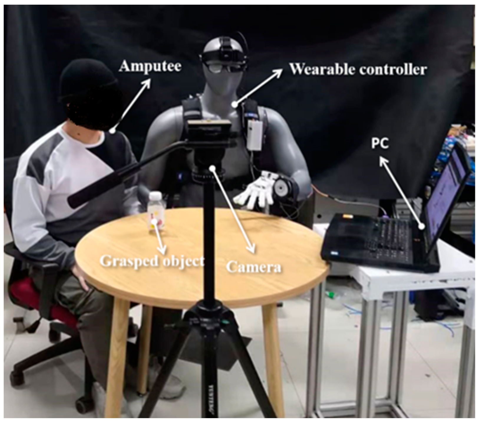 Biomimetics 09 00062 g006