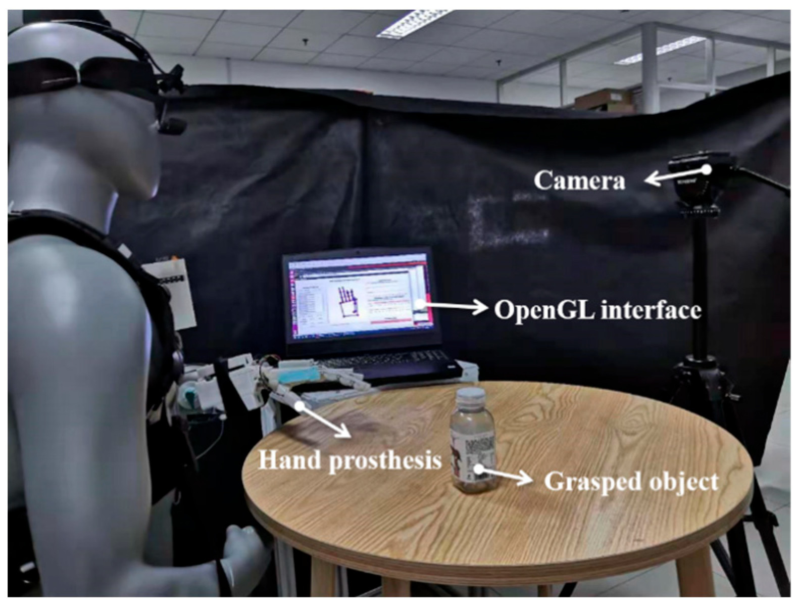 Biomimetics 09 00062 g007