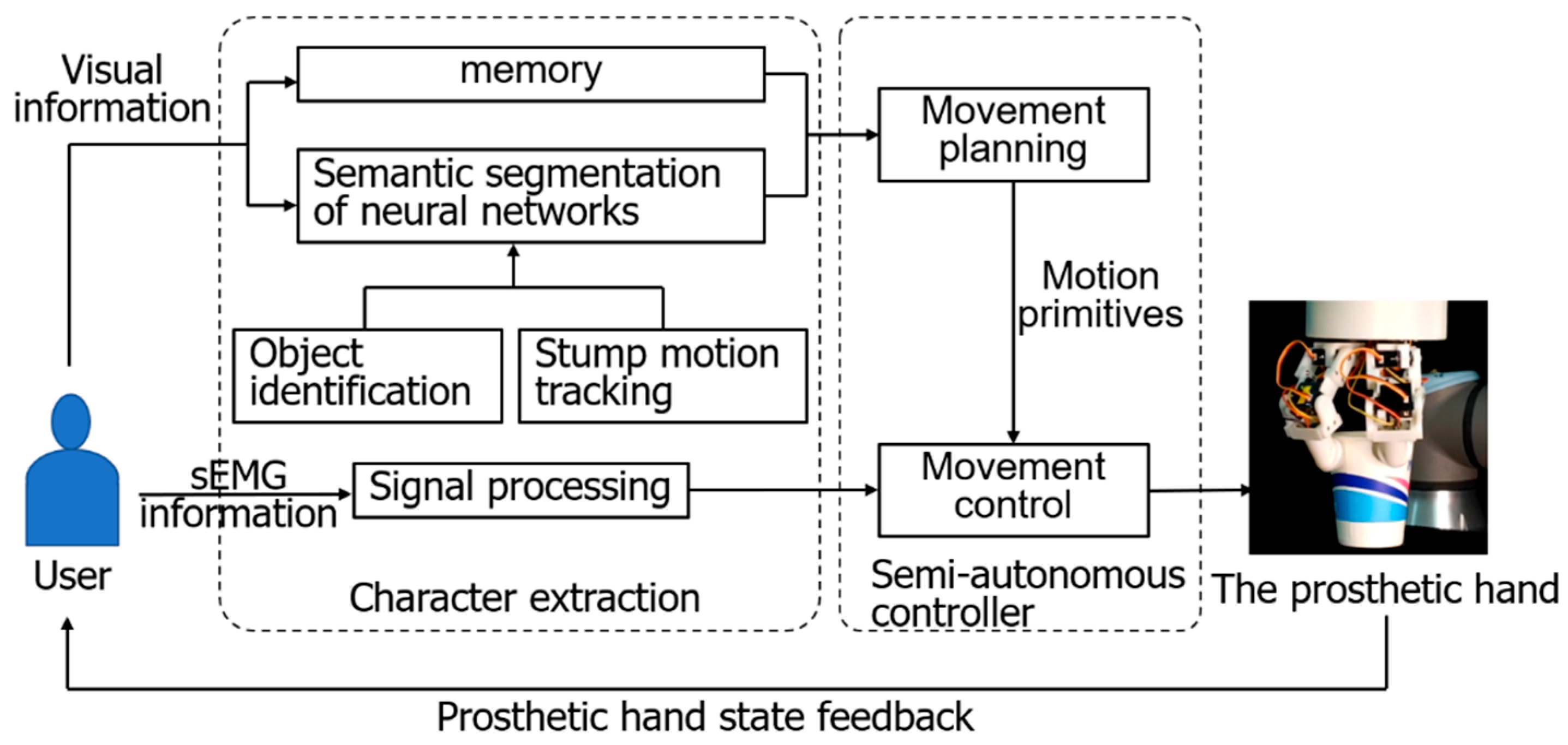 Biomimetics 09 00062 g010
