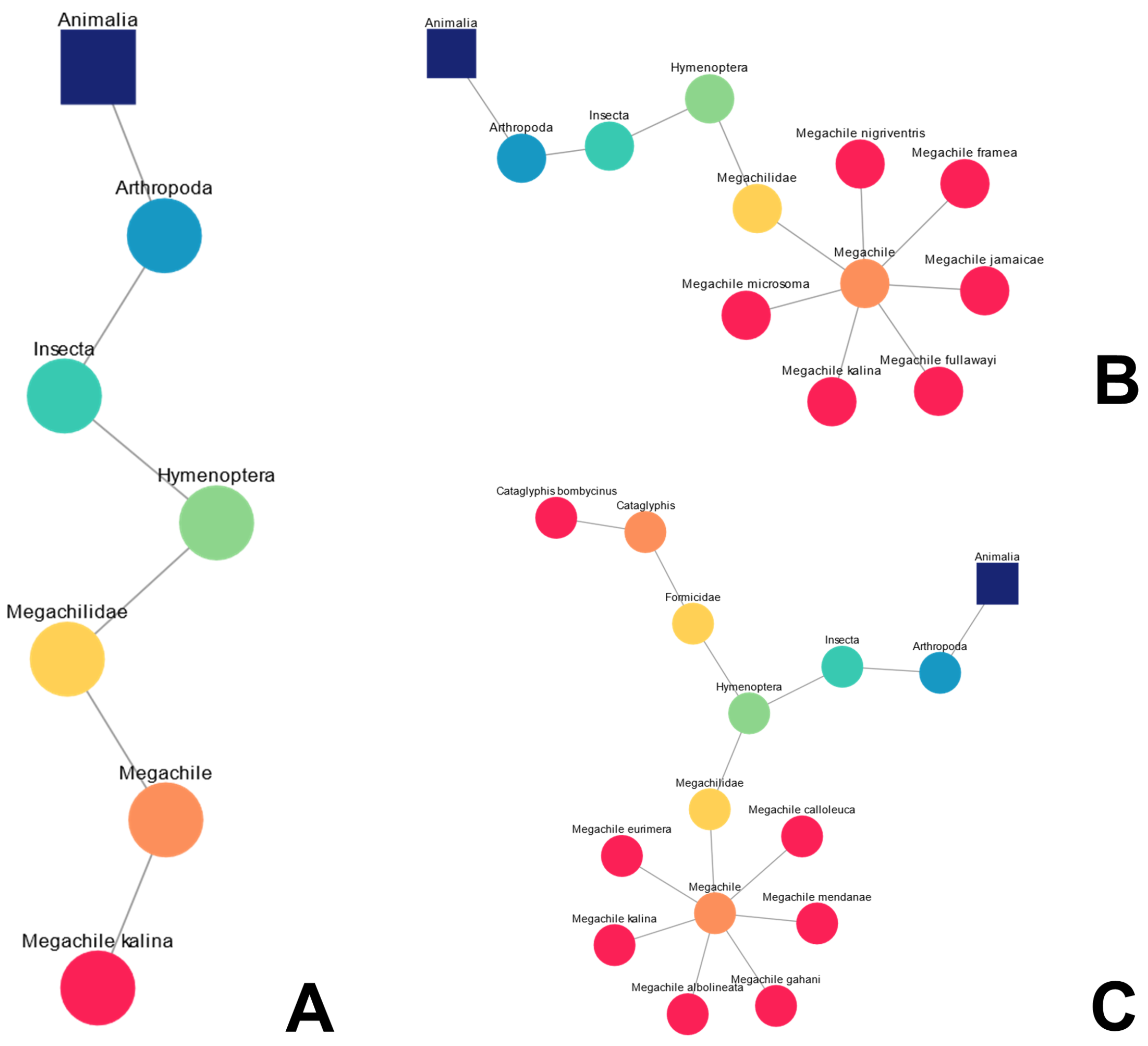 Biomimetics 09 00063 g002