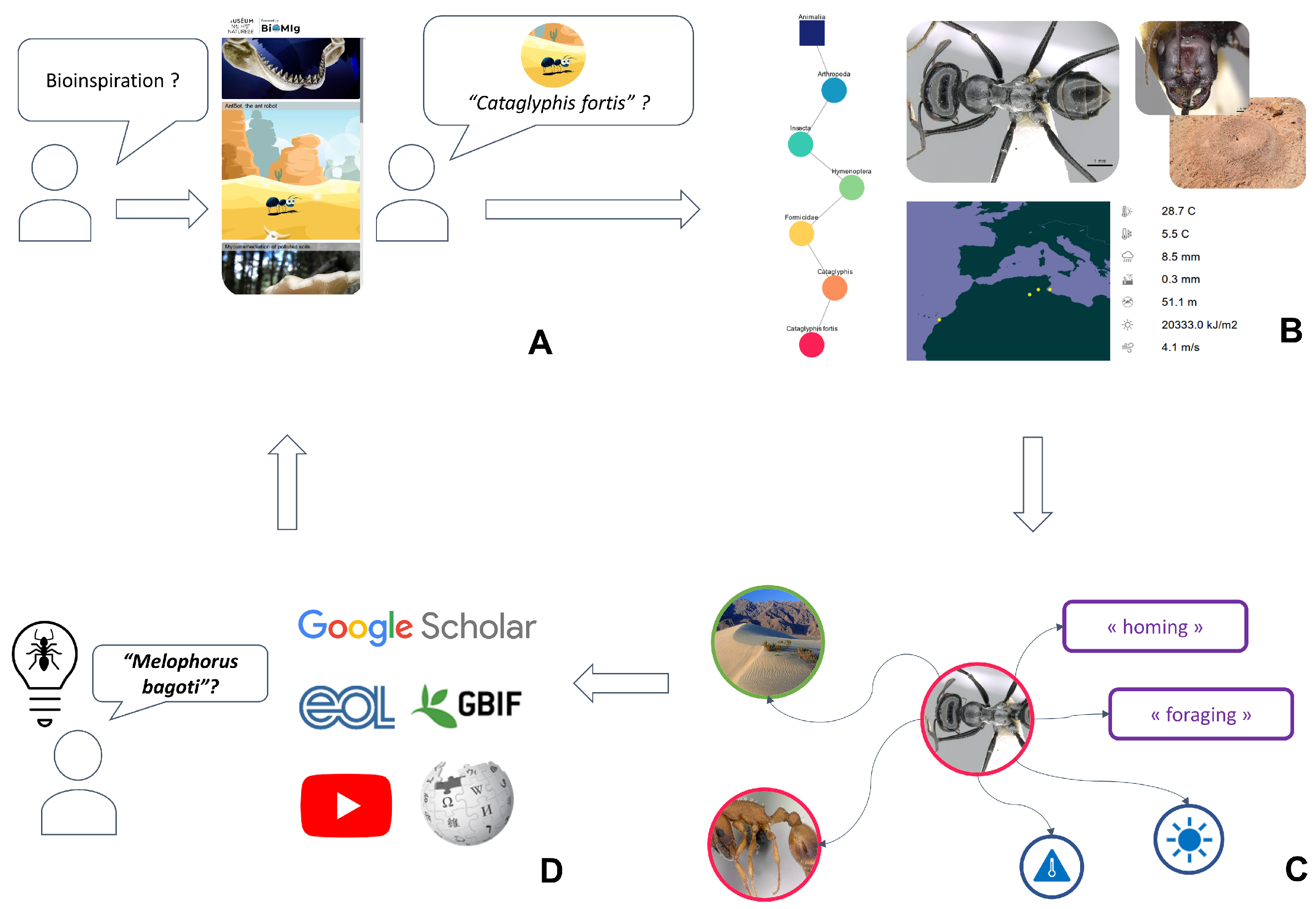 Biomimetics 09 00063 g005