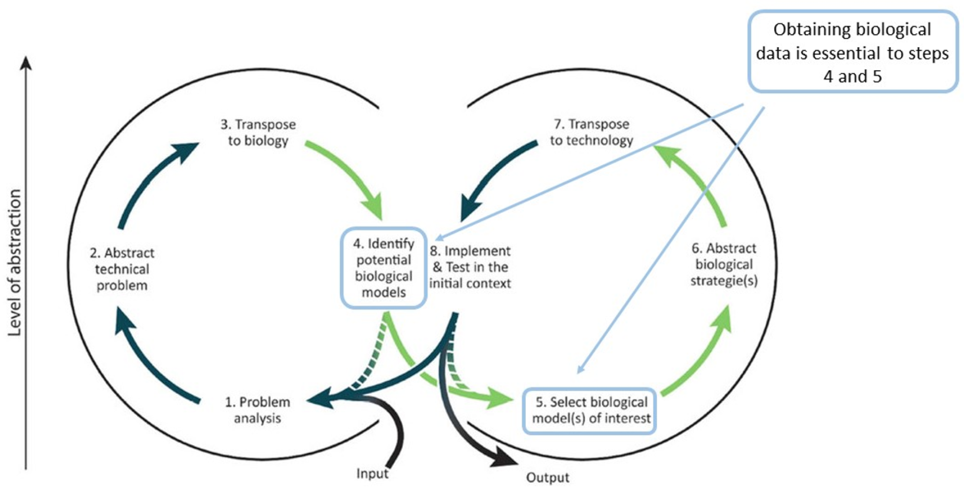 Biomimetics 09 00063 g006