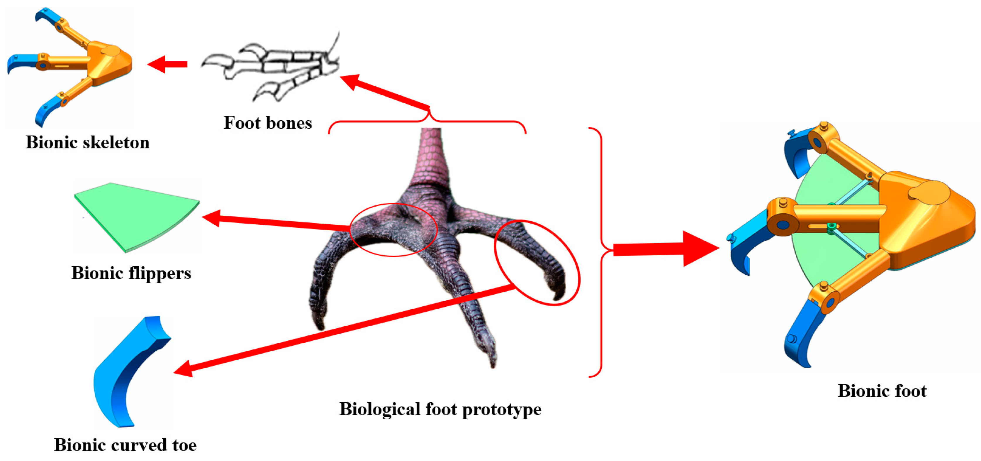 Biomimetics 09 00068 g001