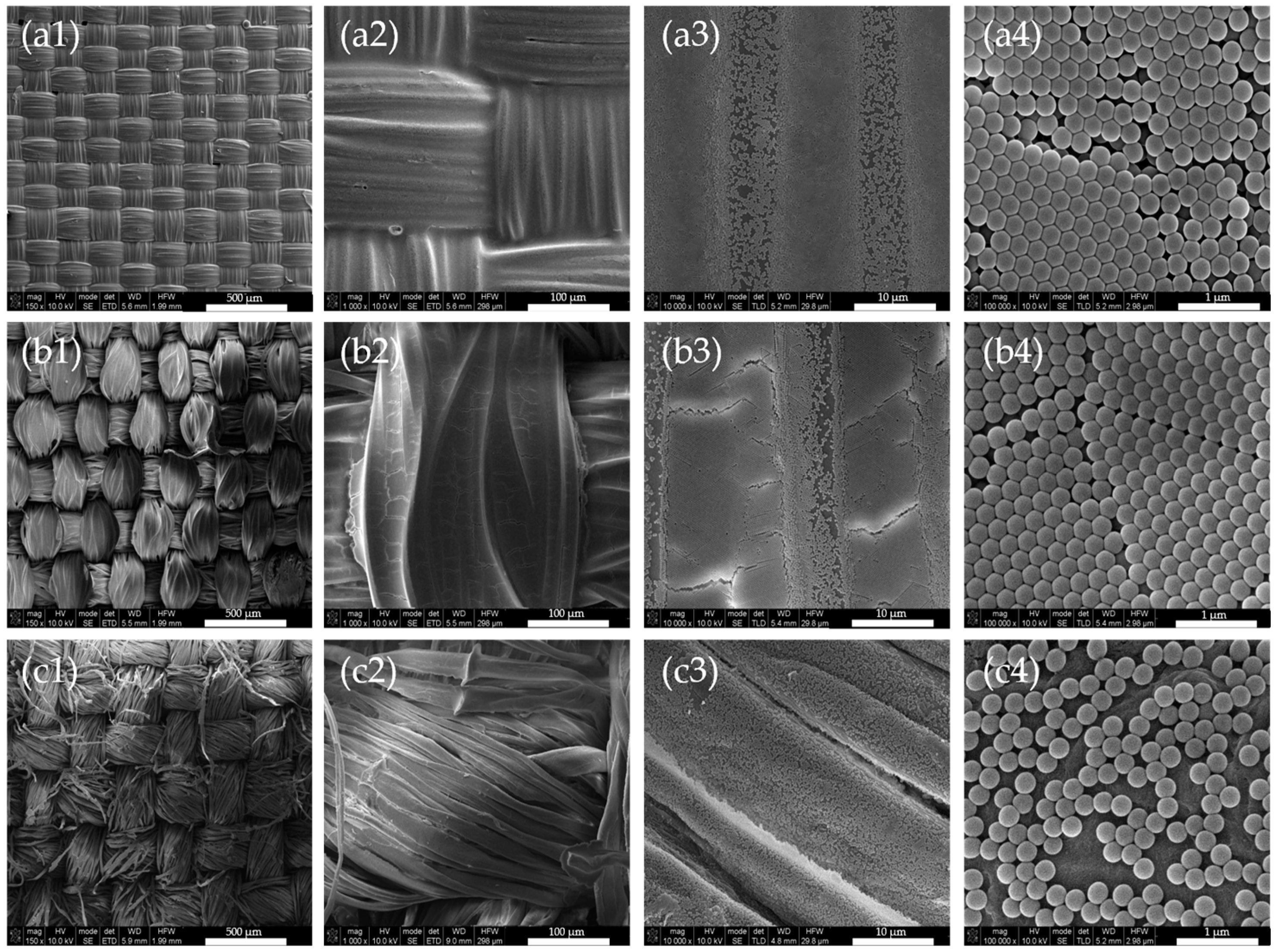 Biomimetics 09 00071 g006