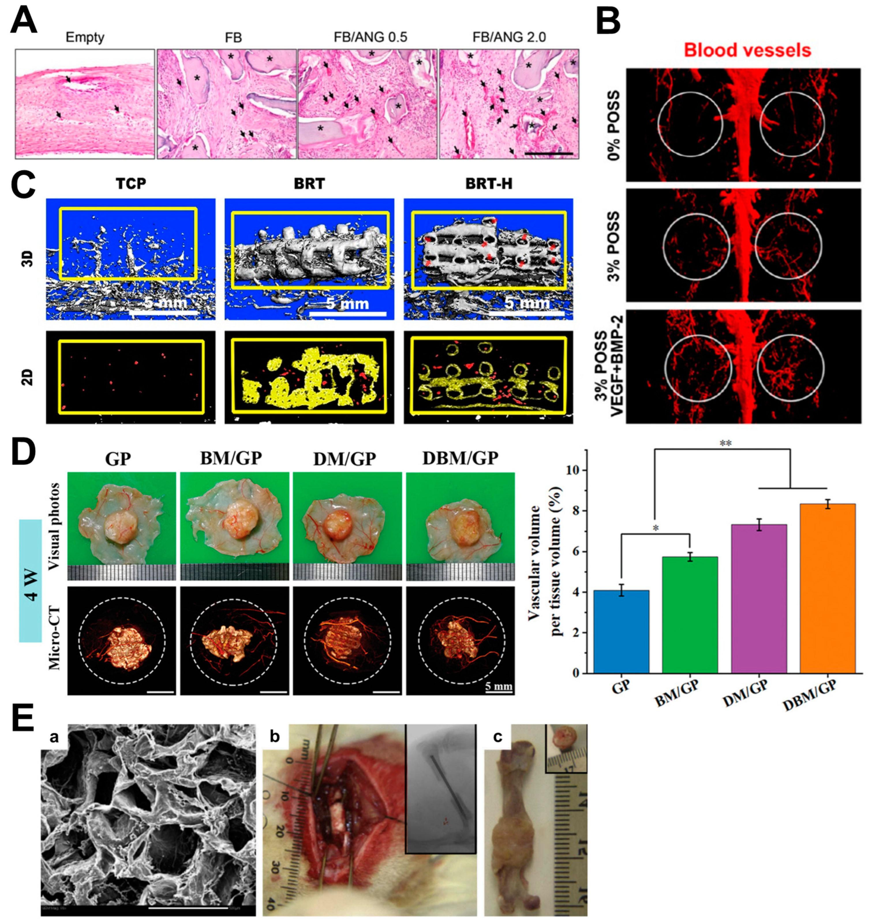 Biomimetics 09 00075 g002 Biomimetics 09 00075 g002