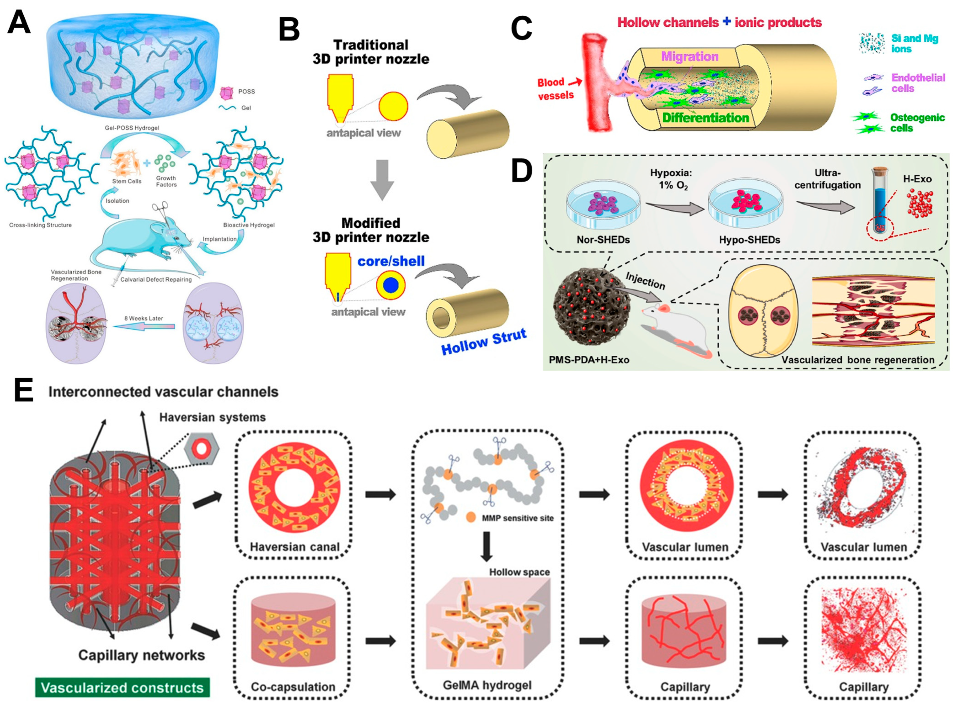 Biomimetics 09 00075 g003 Biomimetics 09 00075 g003
