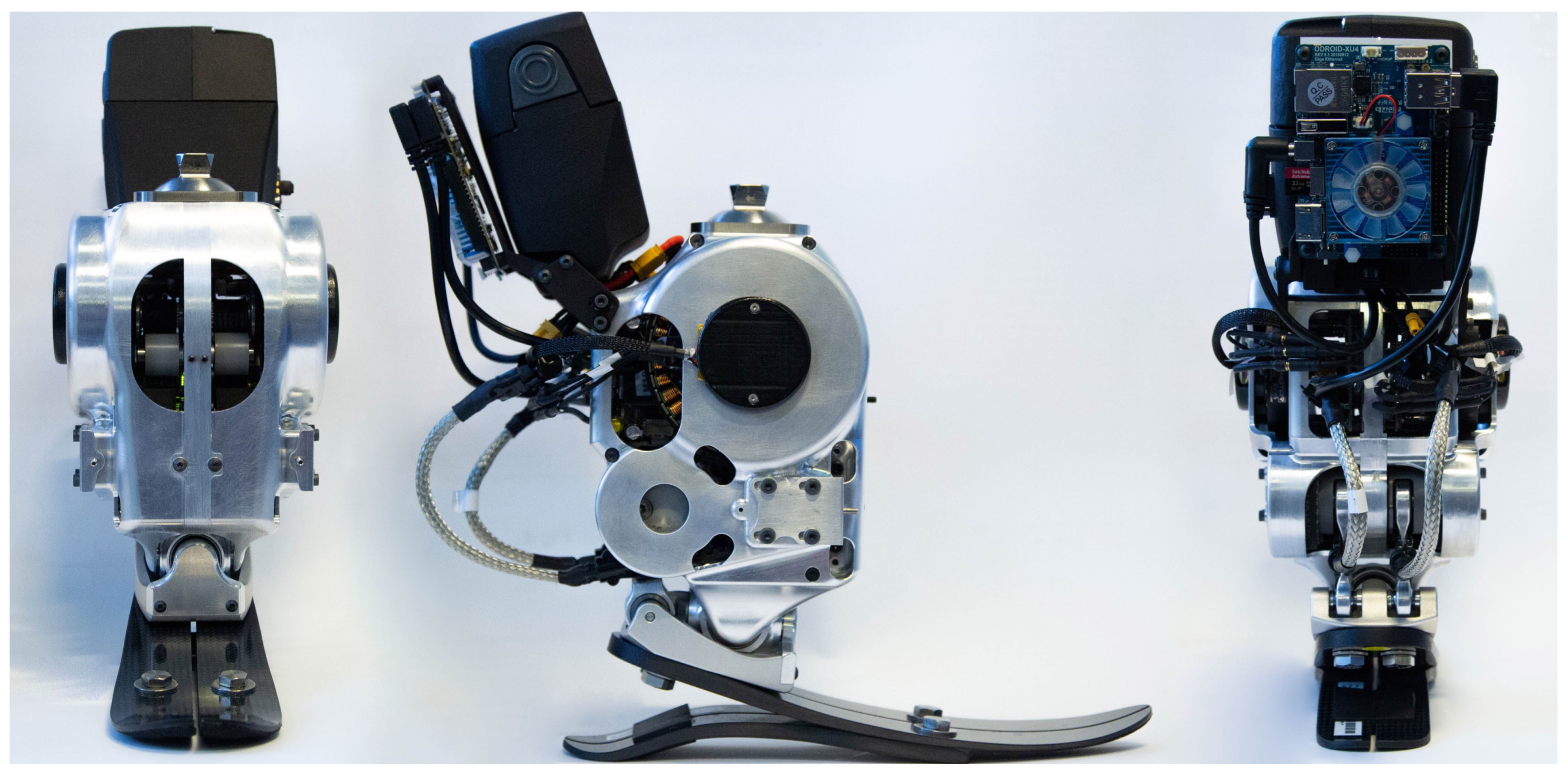 Biomimetics 09 00076 g001