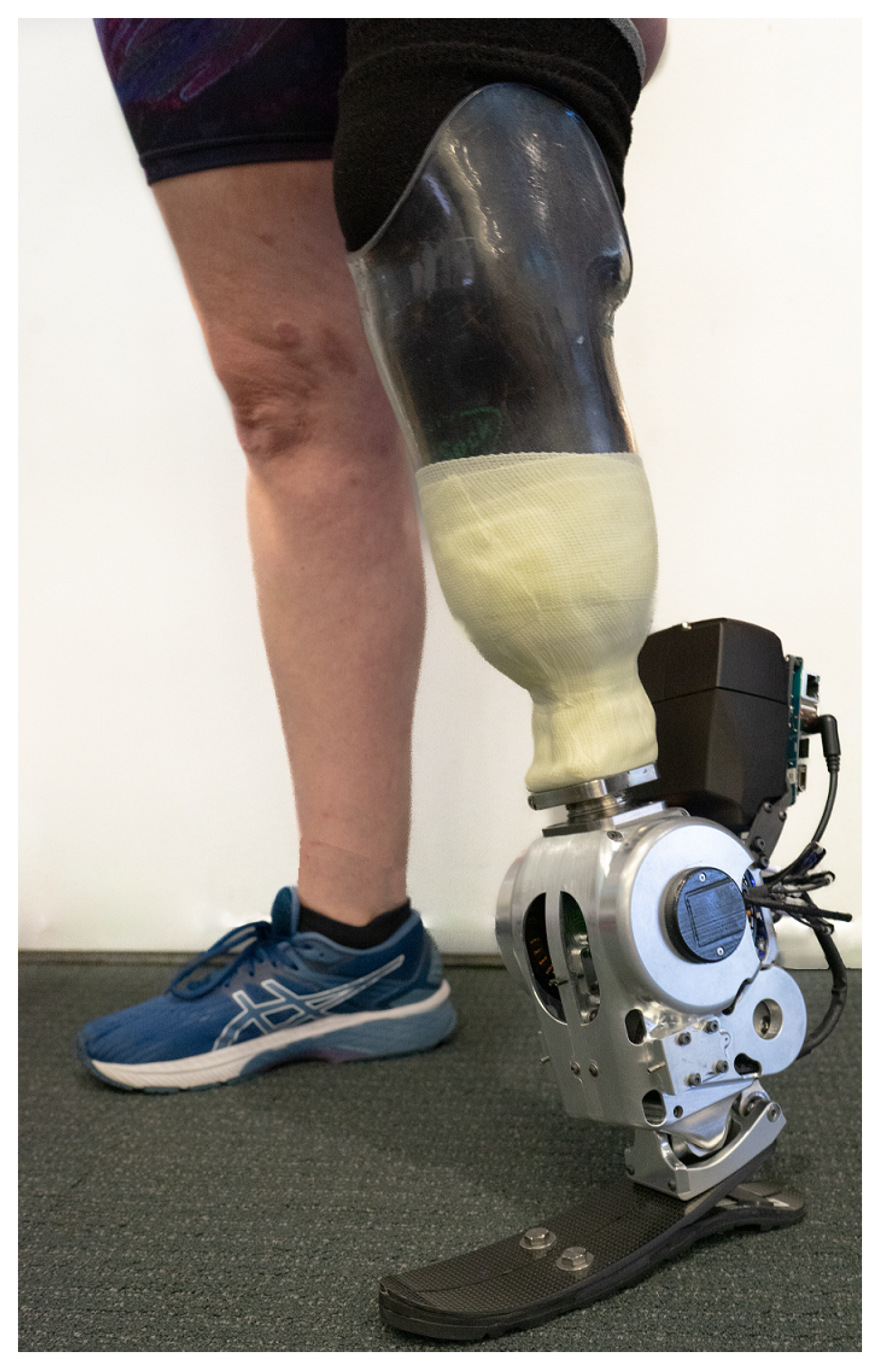 Biomimetics 09 00076 g013