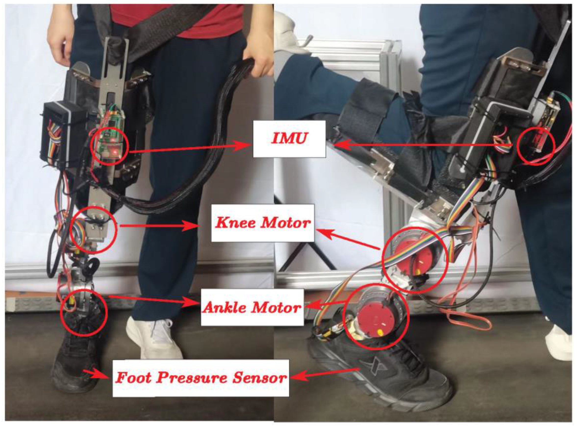 Biomimetics 09 00077 g001