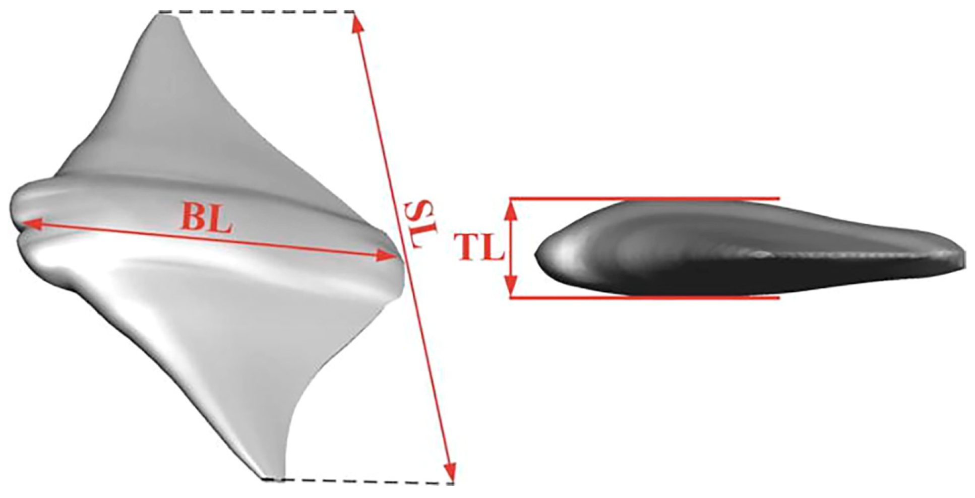 Biomimetics 09 00079 g006