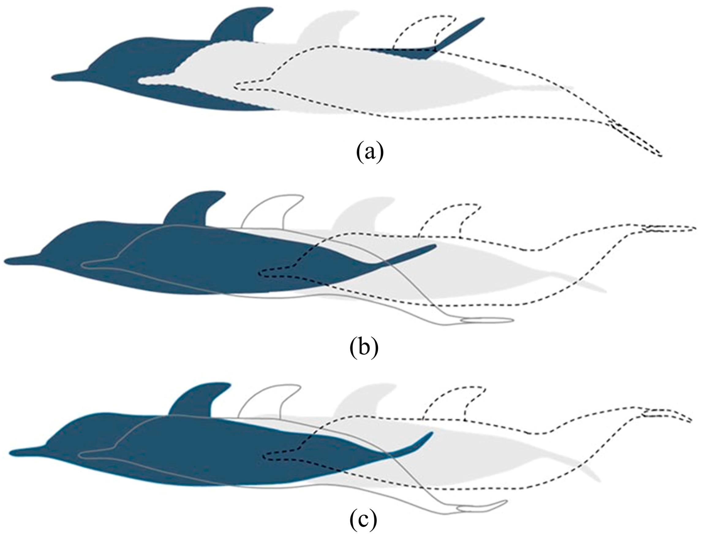 Biomimetics 09 00079 g009